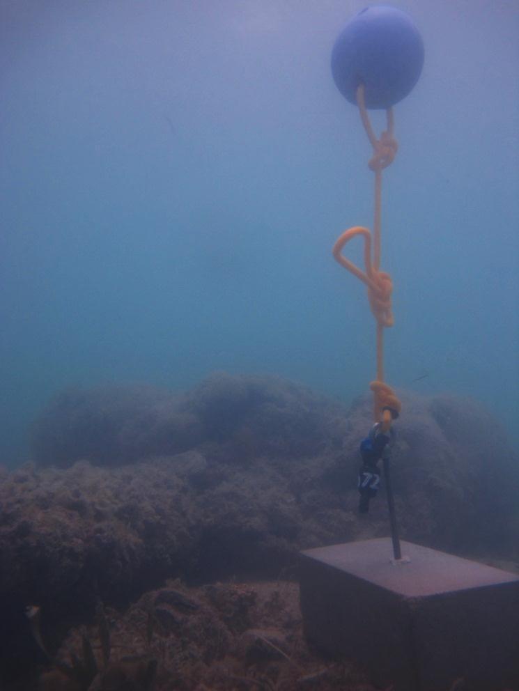 Mabuiag Island - Torres Strait Temperature Logger (Flat Logger: MABUIAGFL1)