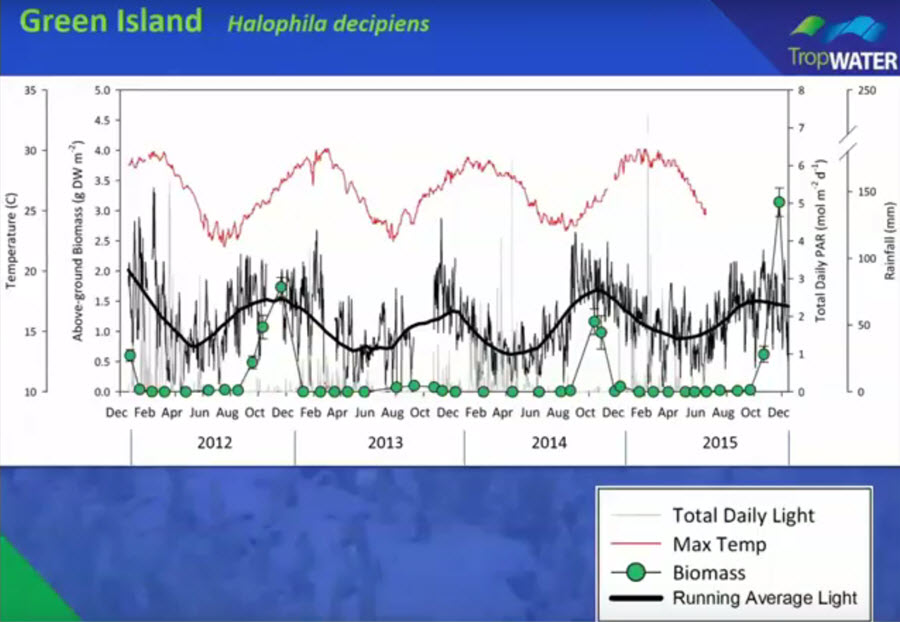 Green Island Seagrass Biomass 2012 - 2015 (Halophila decipens)