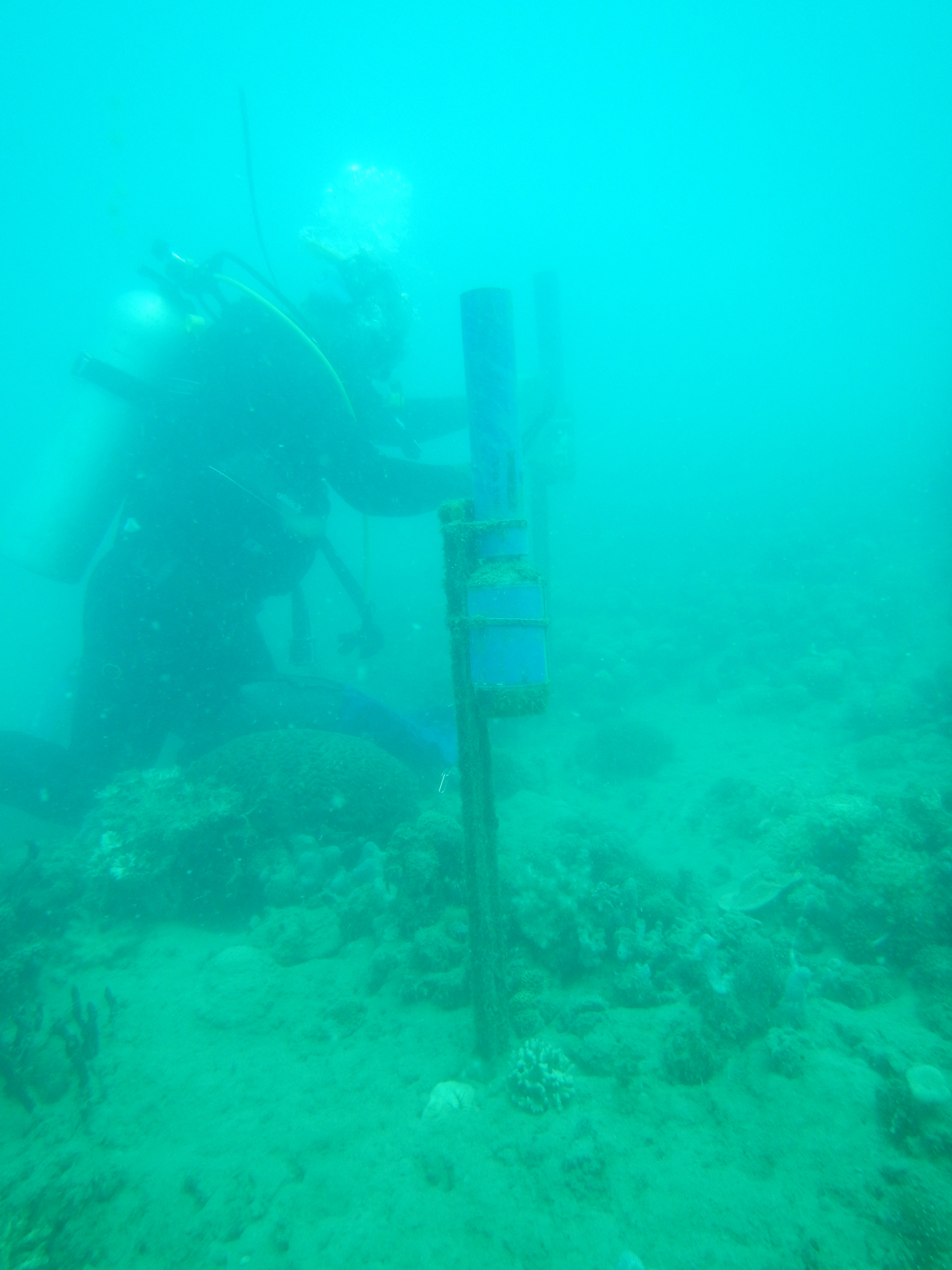 Havannah Island 2 site setup  where only sediment traps are deployed