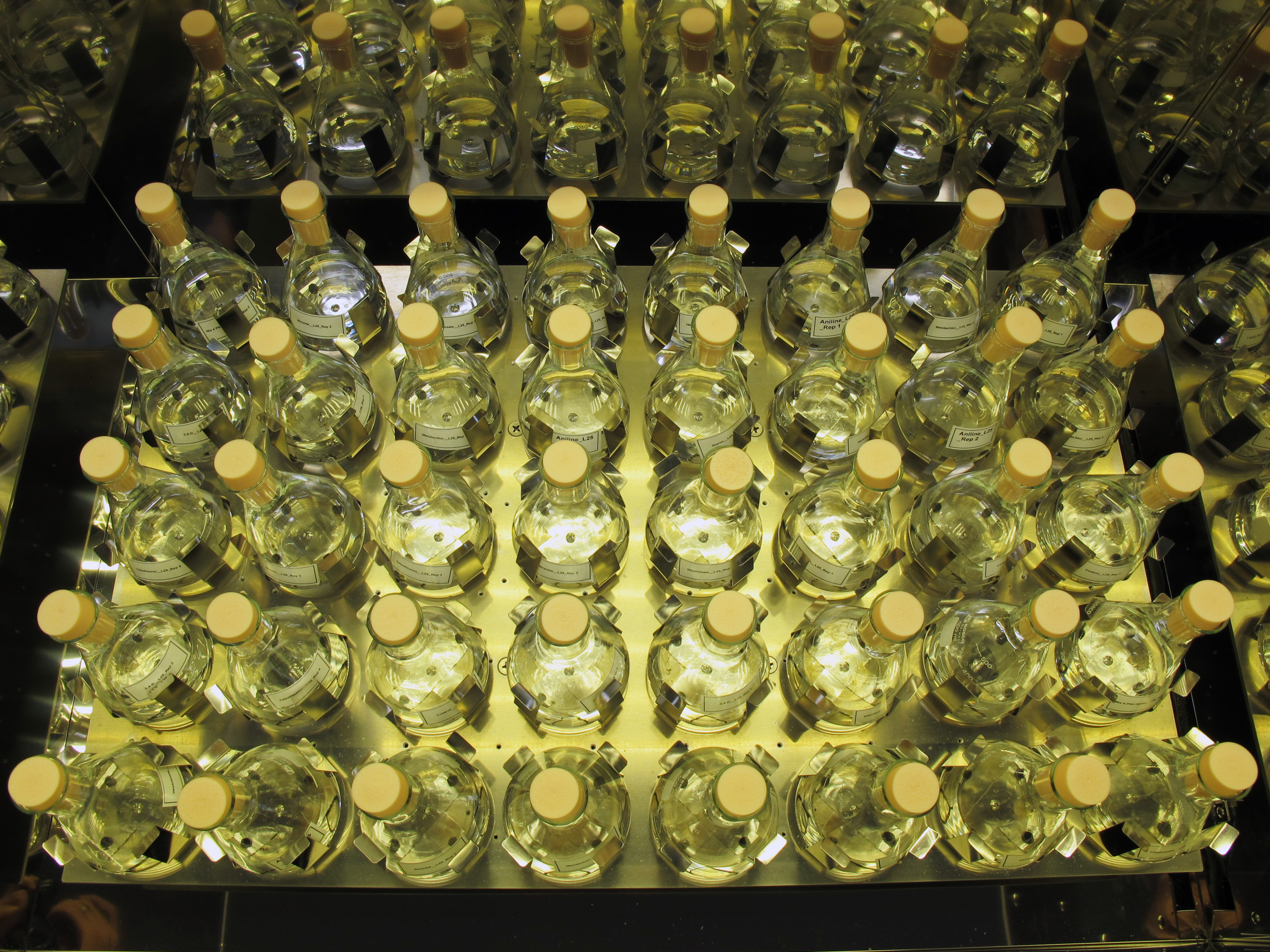 Herbicide persistence experiments