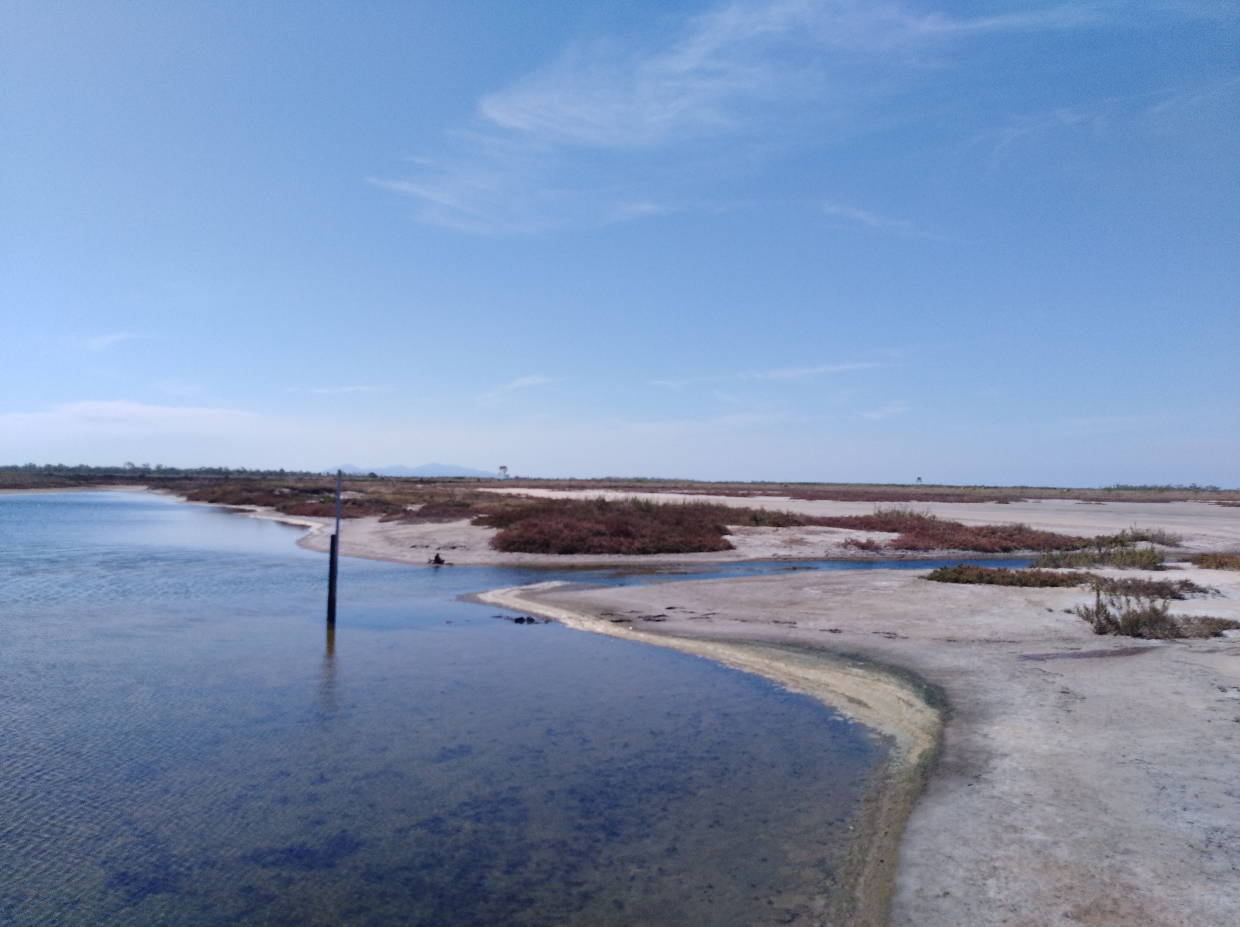 Ponded pasture restoration