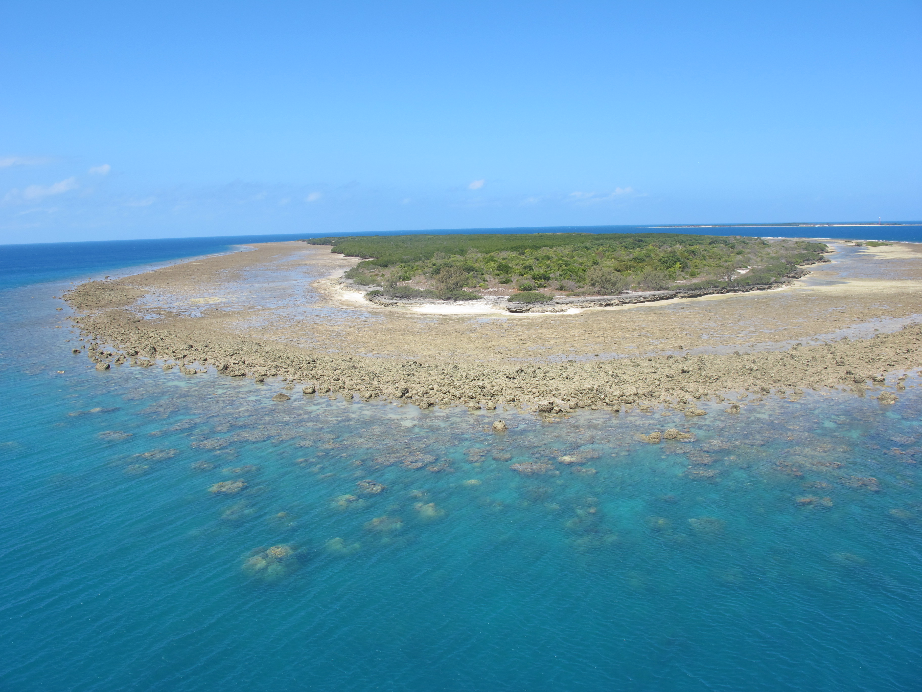 Coral cay supporting seagrass communities