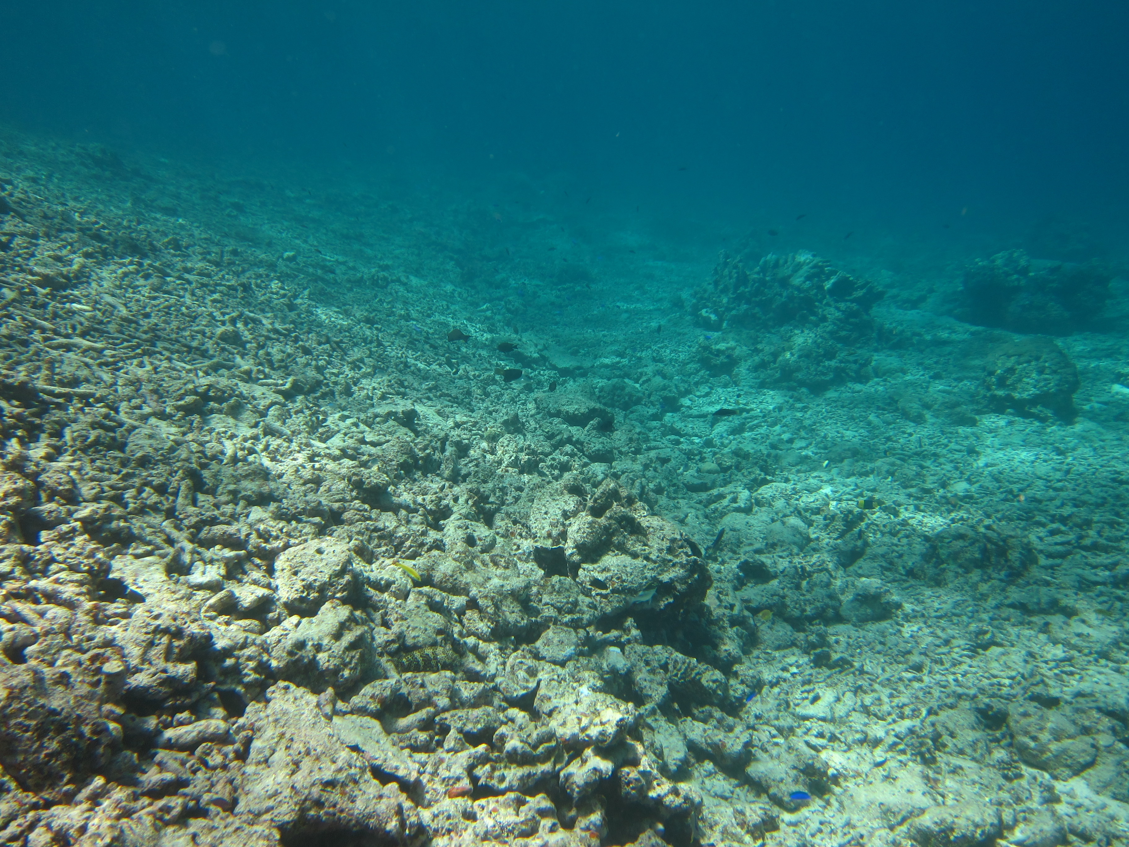 Rubble bank created during Tropical Cyclone Hamish