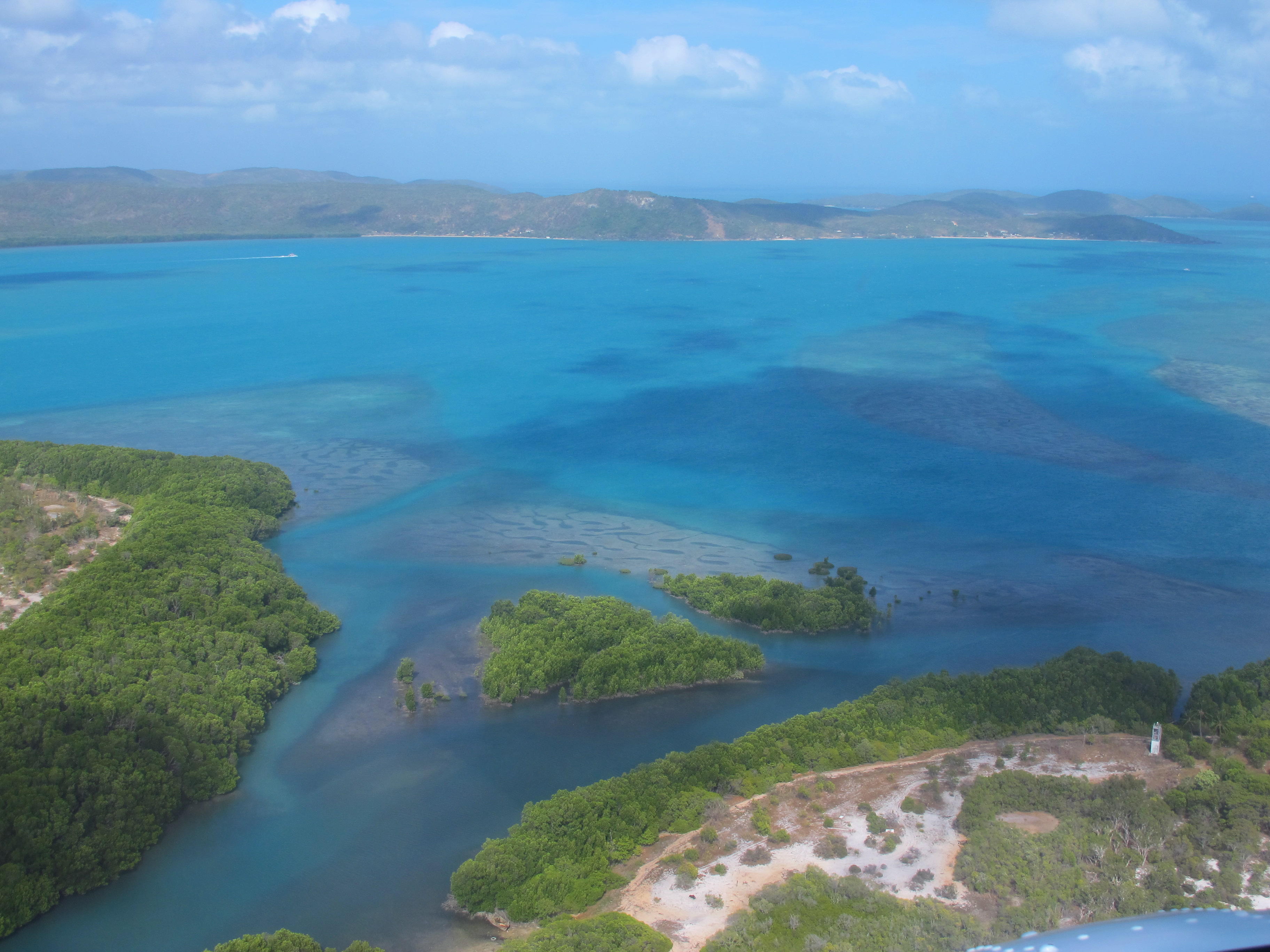 Horn Island - Mangroves and mud flats