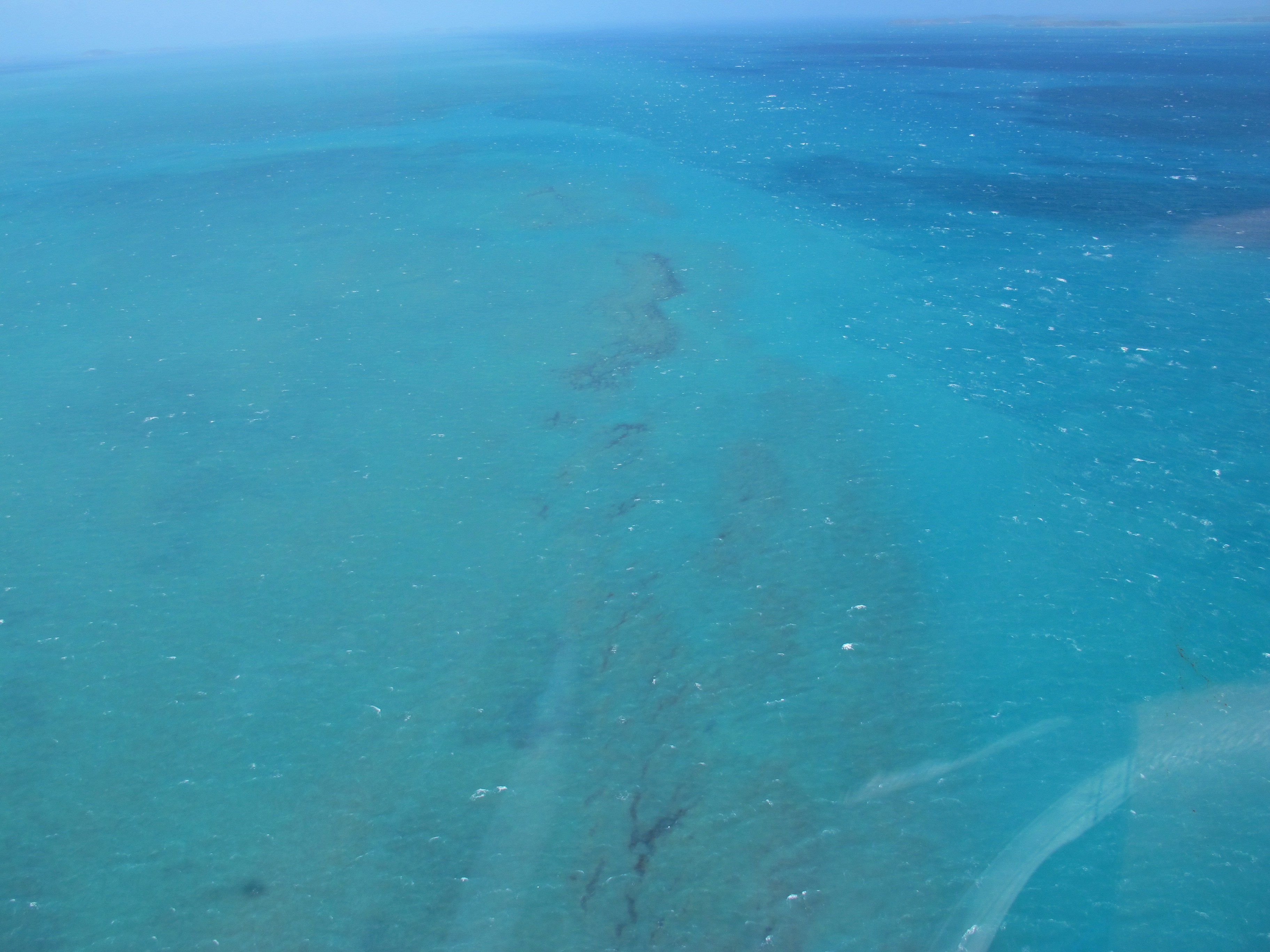 Long Reef - Aerial view