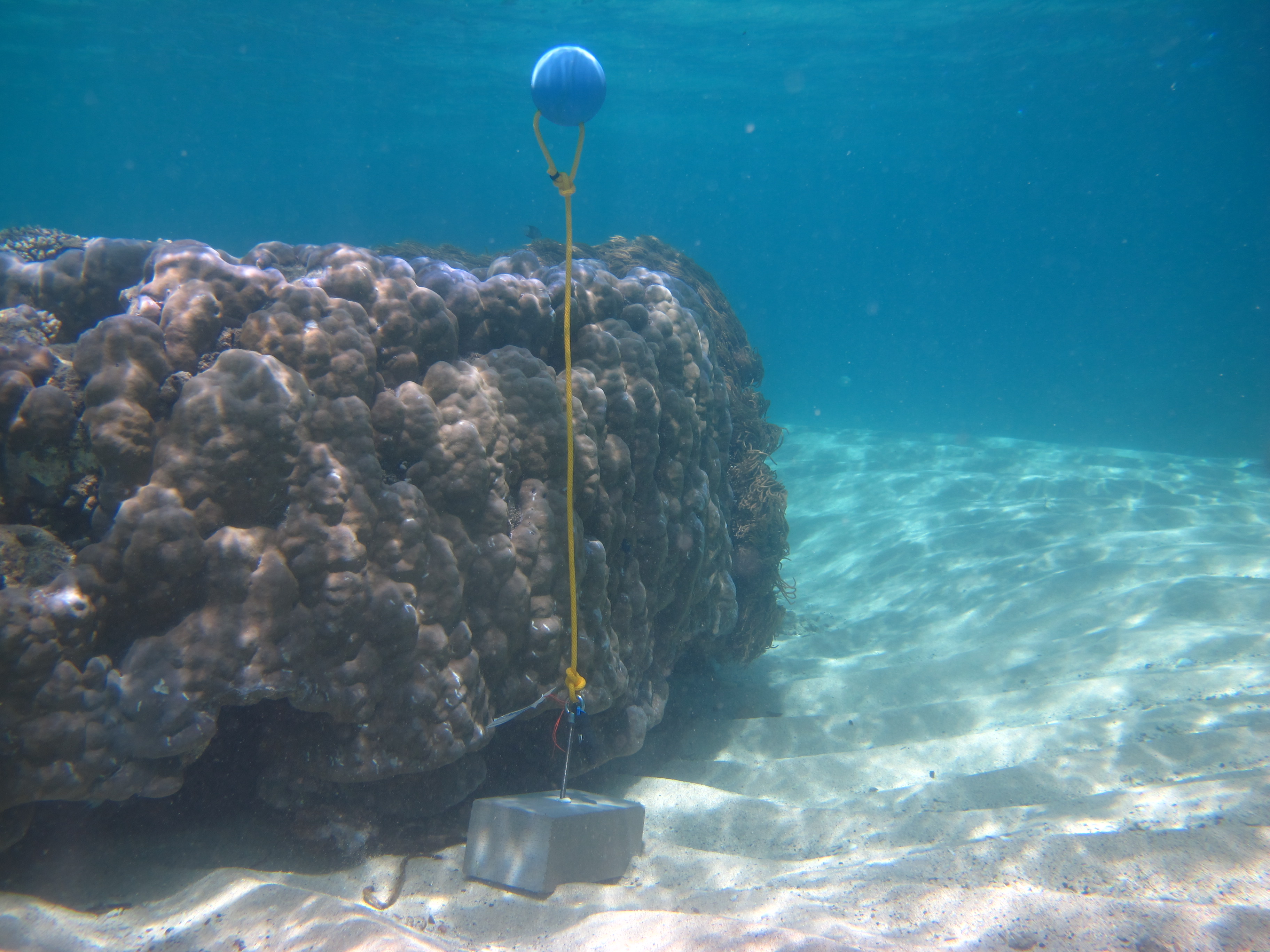 Mer Island - Temperature logger