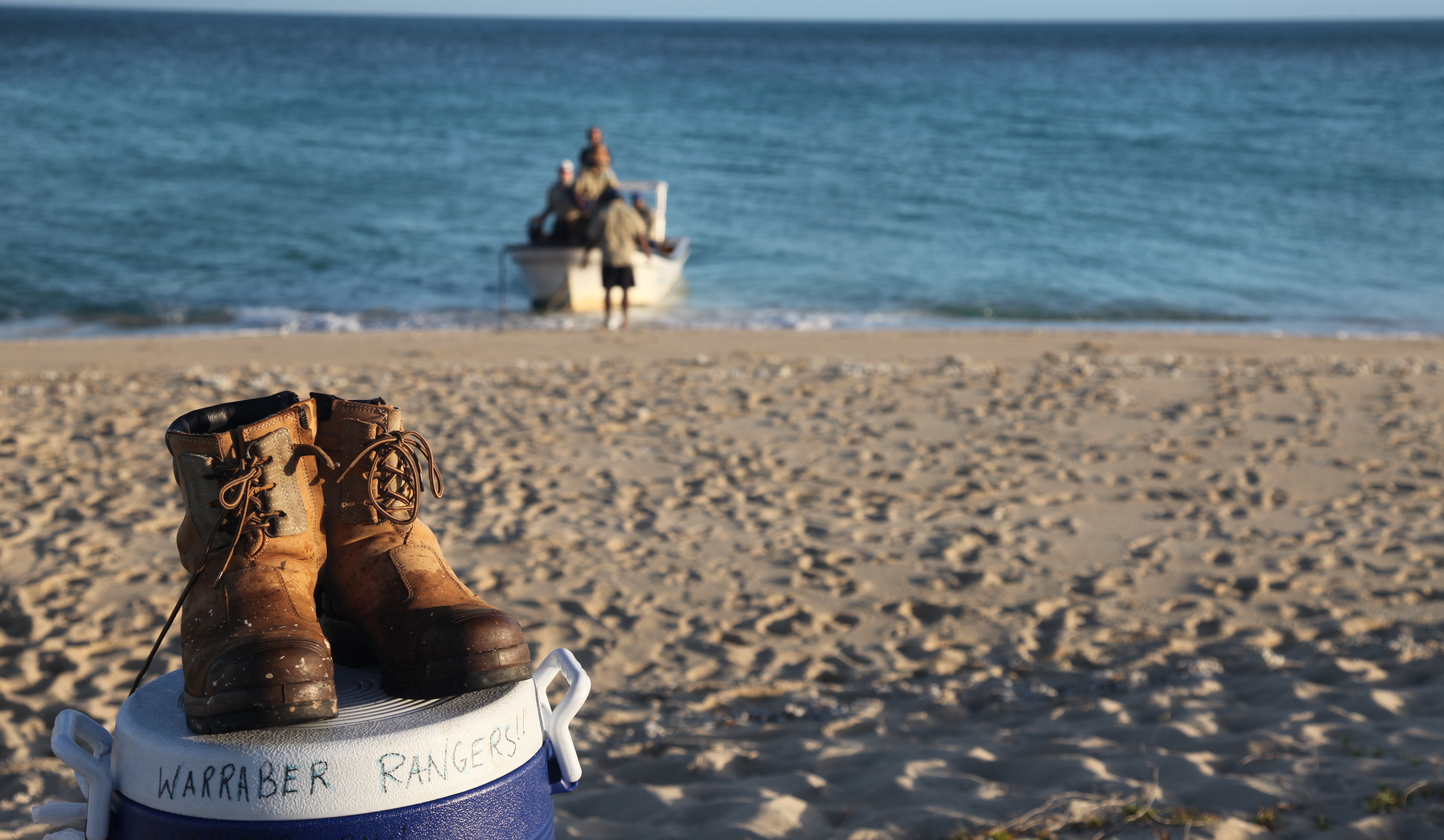 Land and Sea Rangers at Work