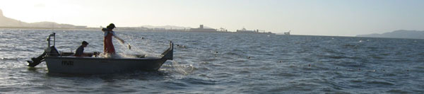 Inshore Commercial fisher