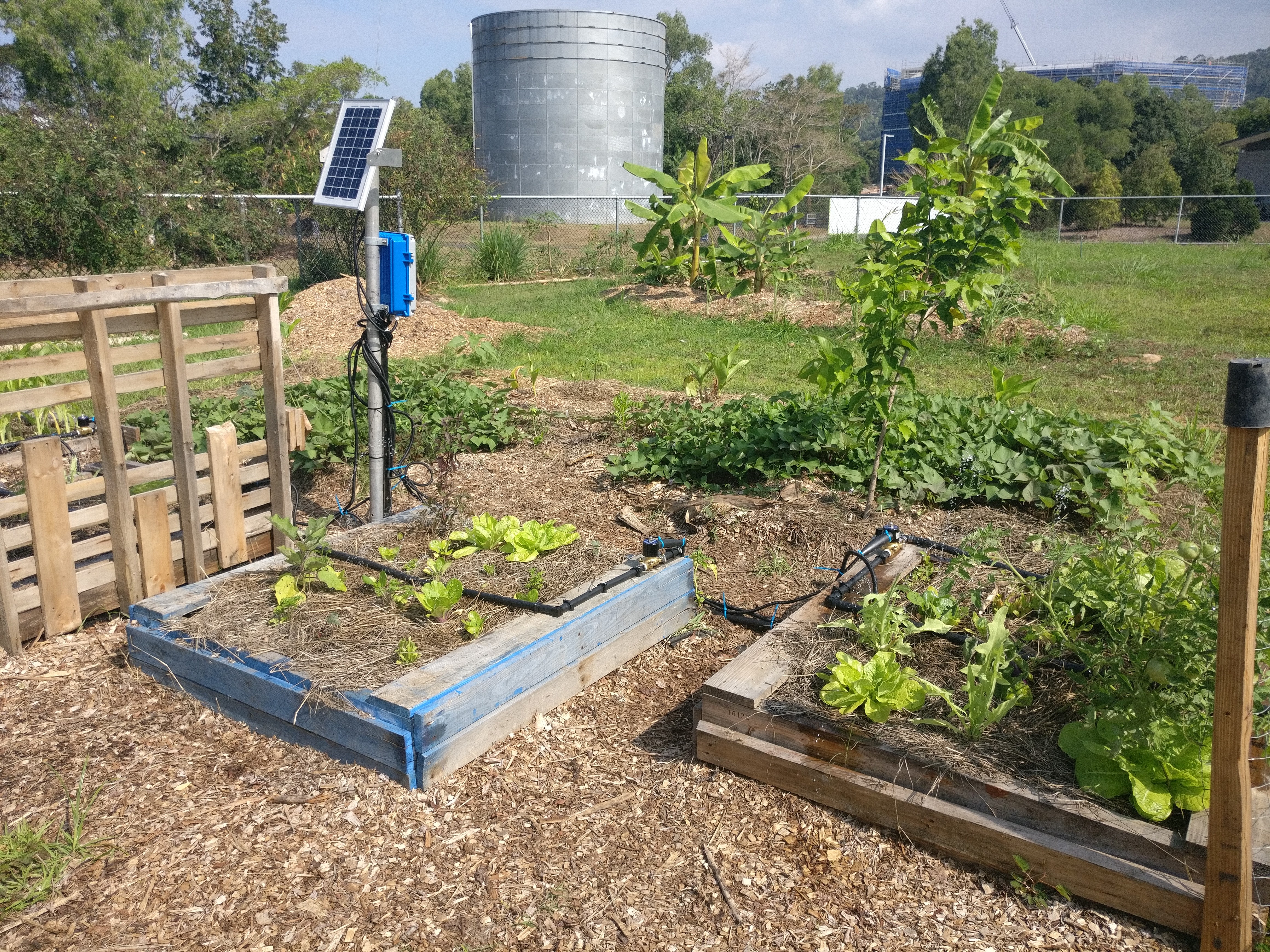 JCU Community garden auto-irrigation system