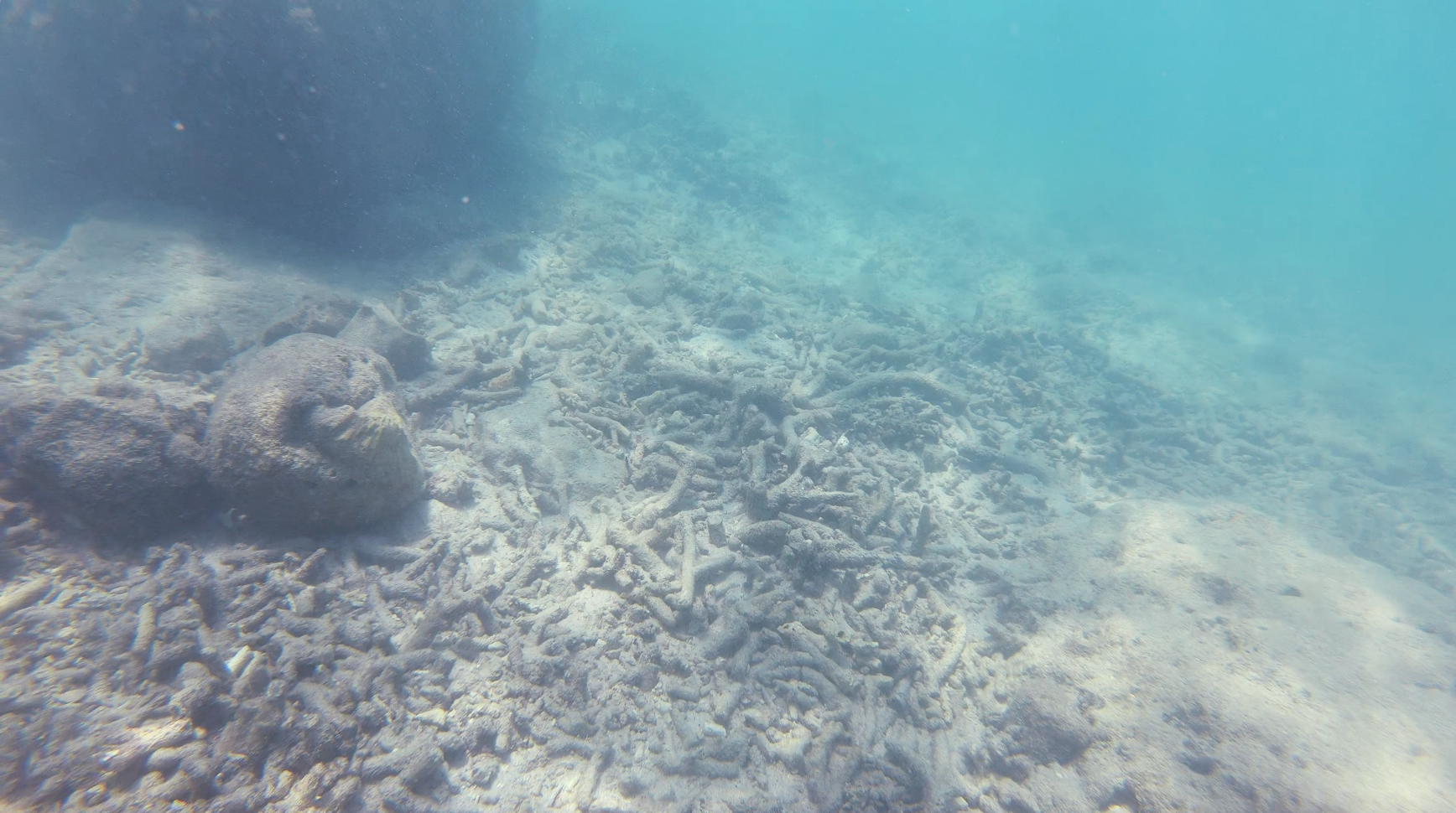 Mantaray bay rubble