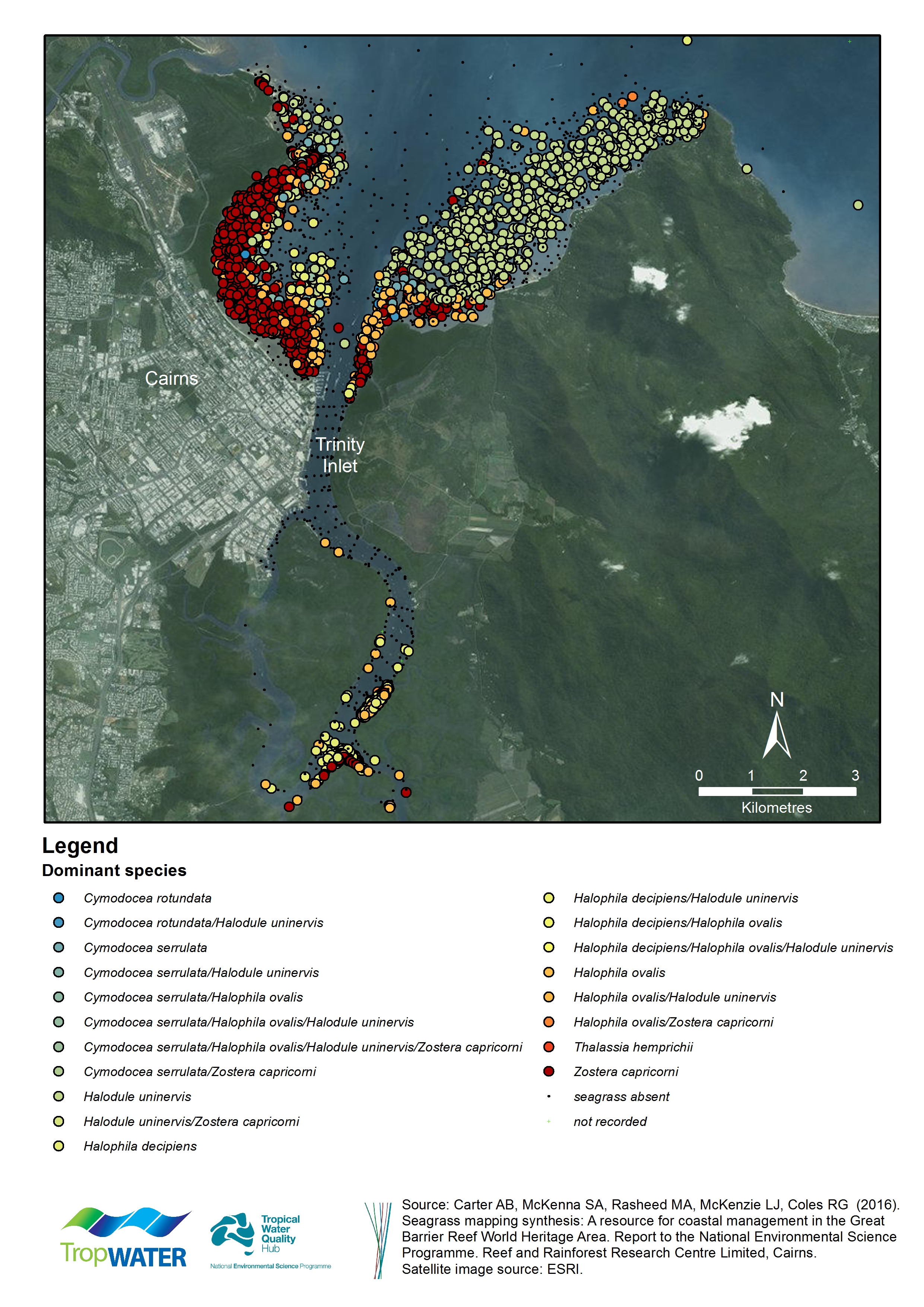 Map of dominant seagrass species in Cairns area