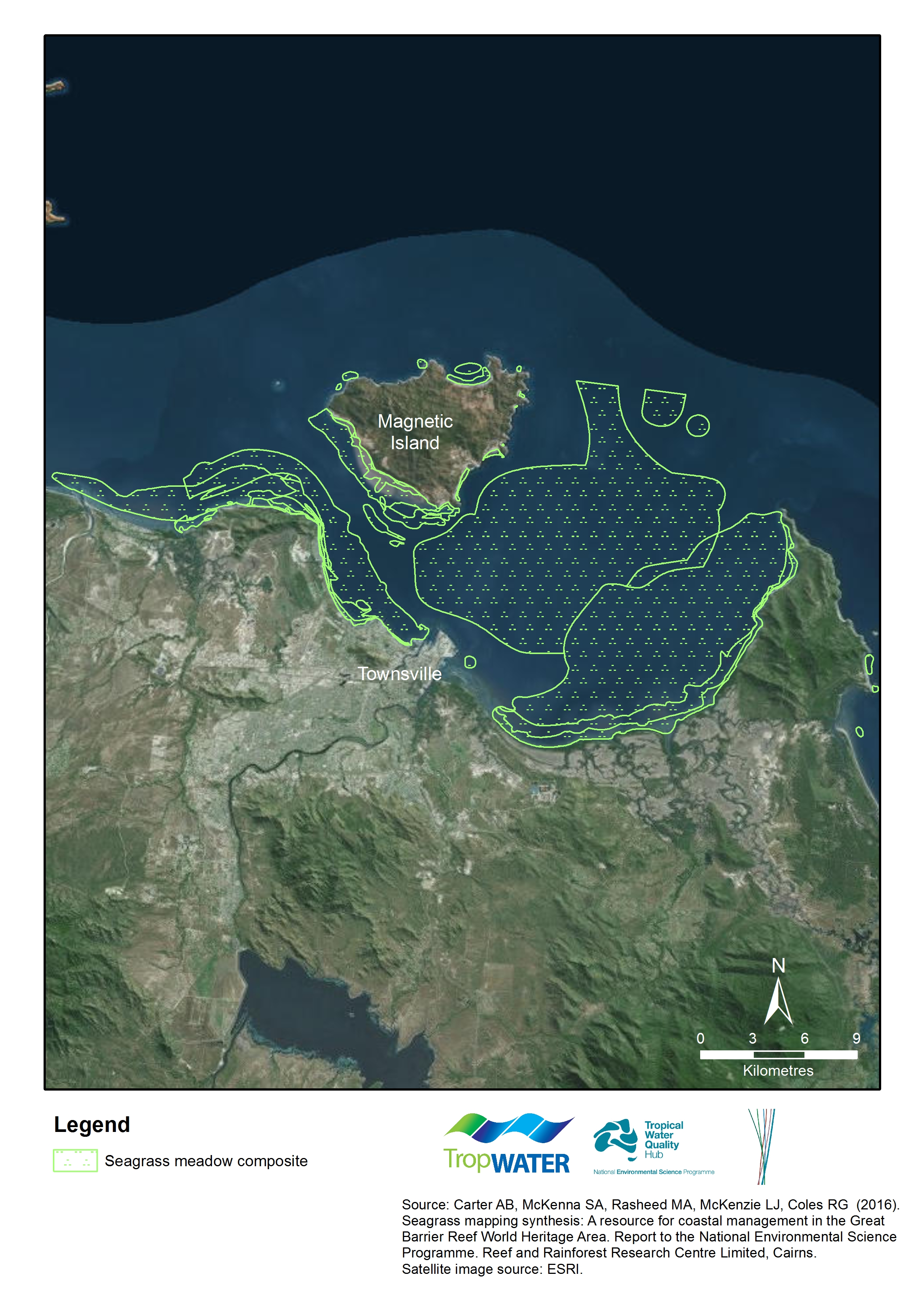 Map of seagrass meadows for Townsville