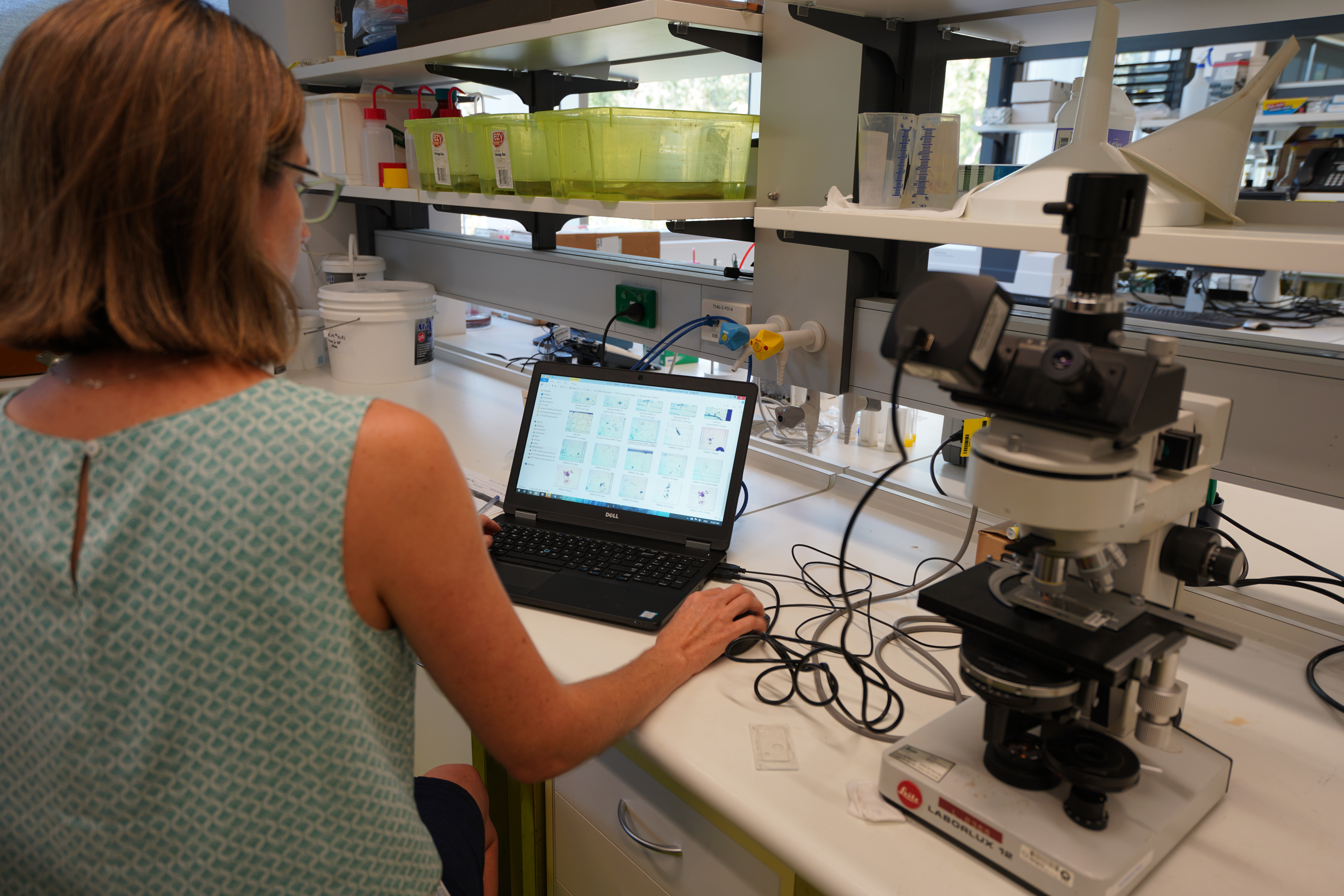 Examining the suspended particulate matter in flood plume water samples under the microscope