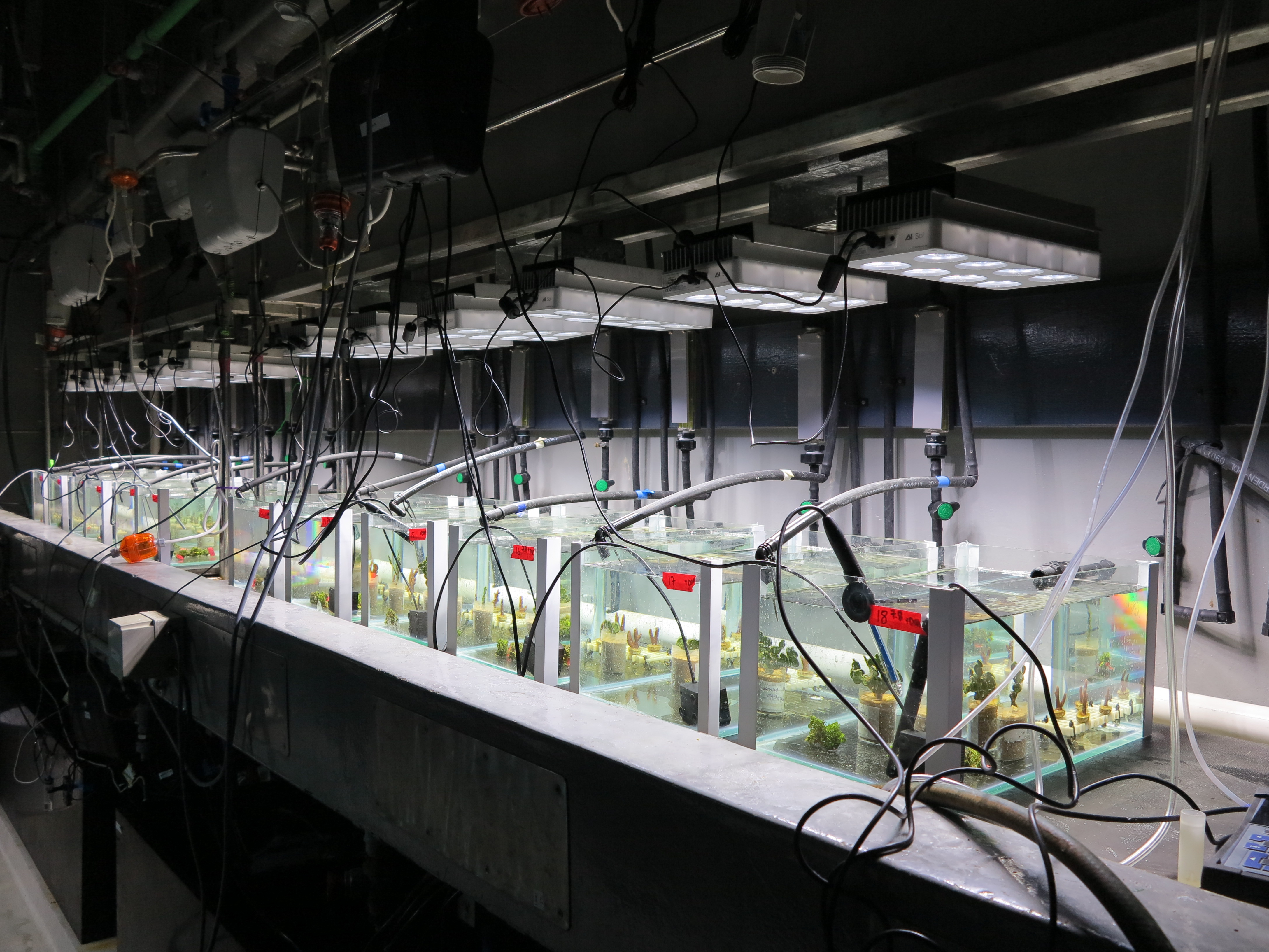 Laboratory experiment conducted at AIMS
