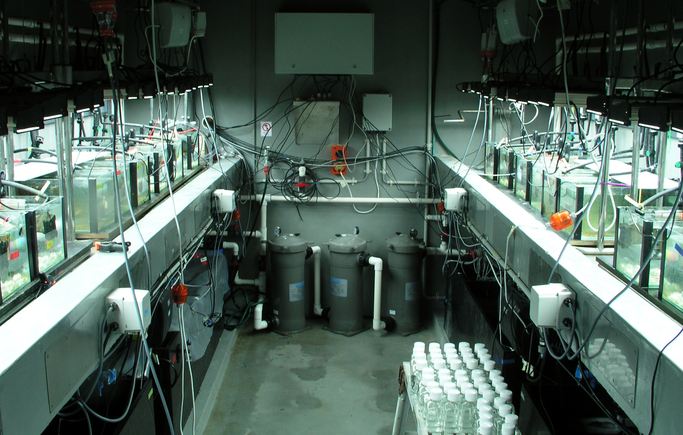 Aquarium setup for an experiment at AIMS