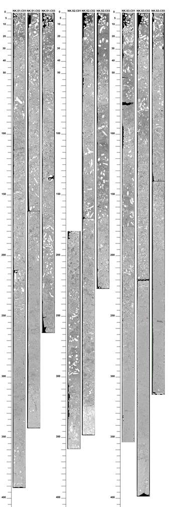 X-ray computed tomography from the Keppel Islands