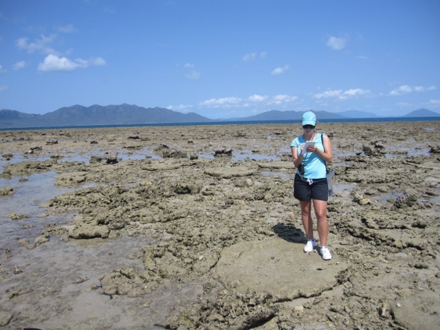 Fossil coral identification at Middle Island