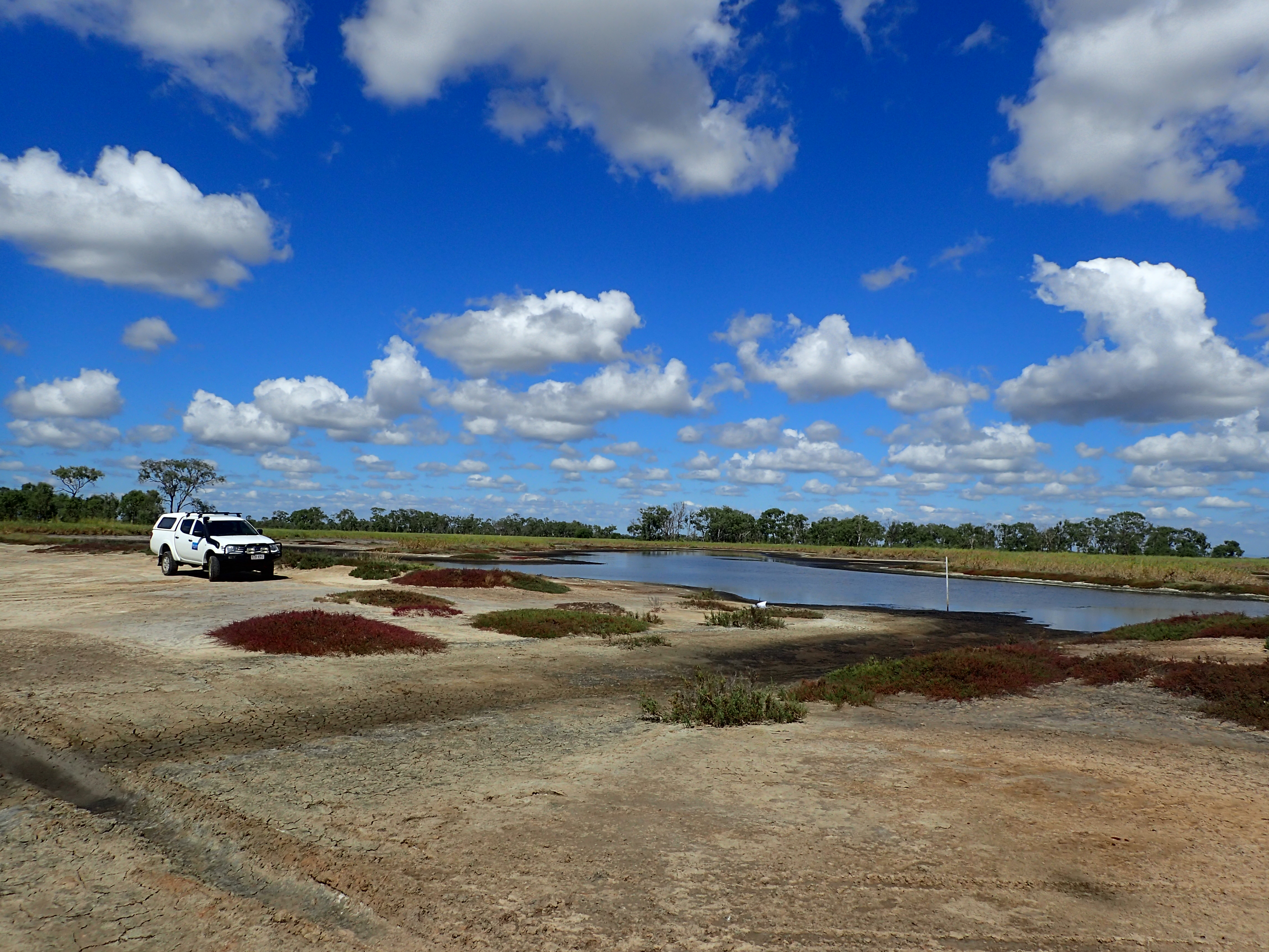 Landscape photo of Jerona wetland