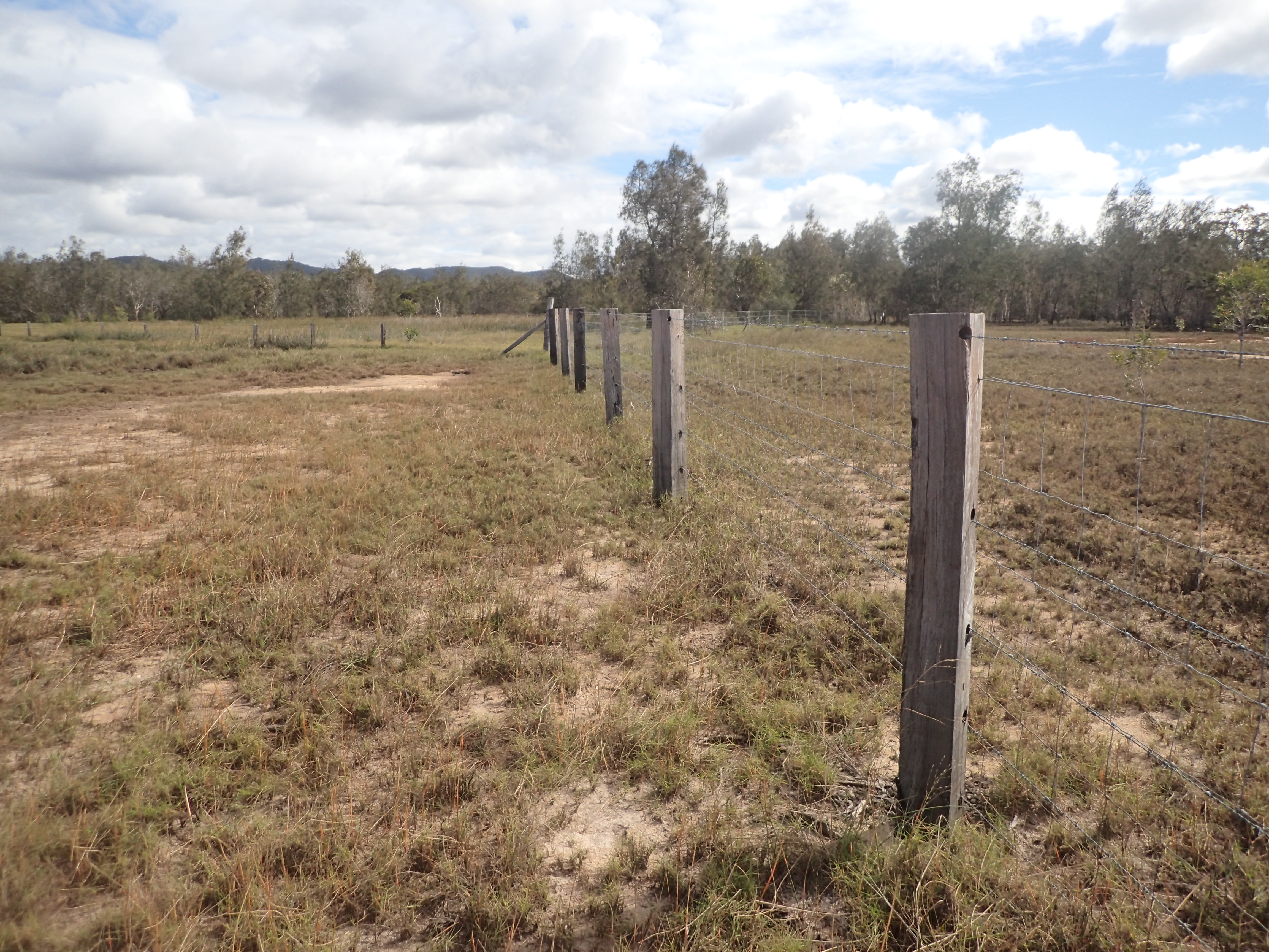 Fencing wetland in RoundHill reserve