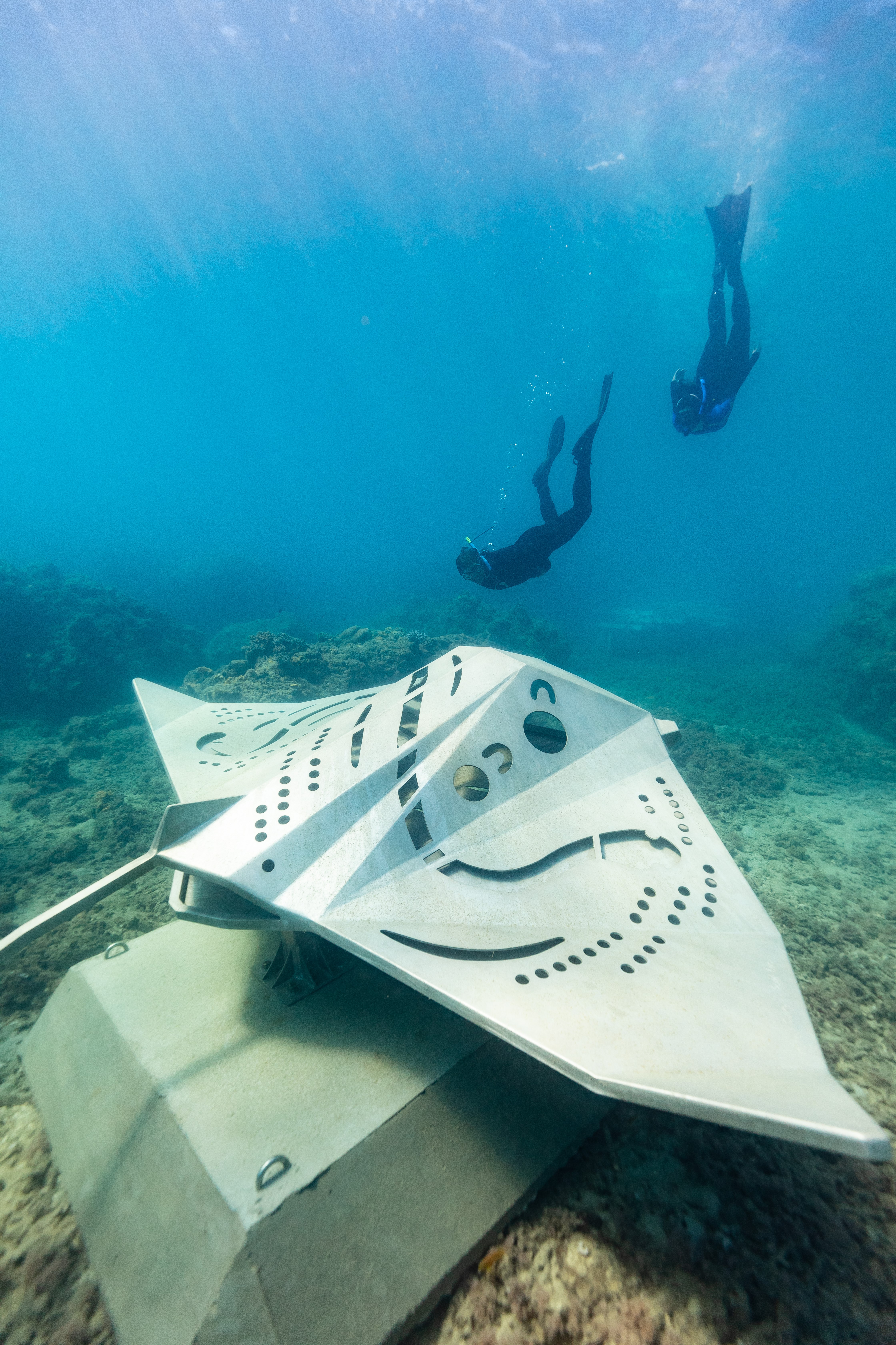 Whitsundays Underwater Art Manta Ray