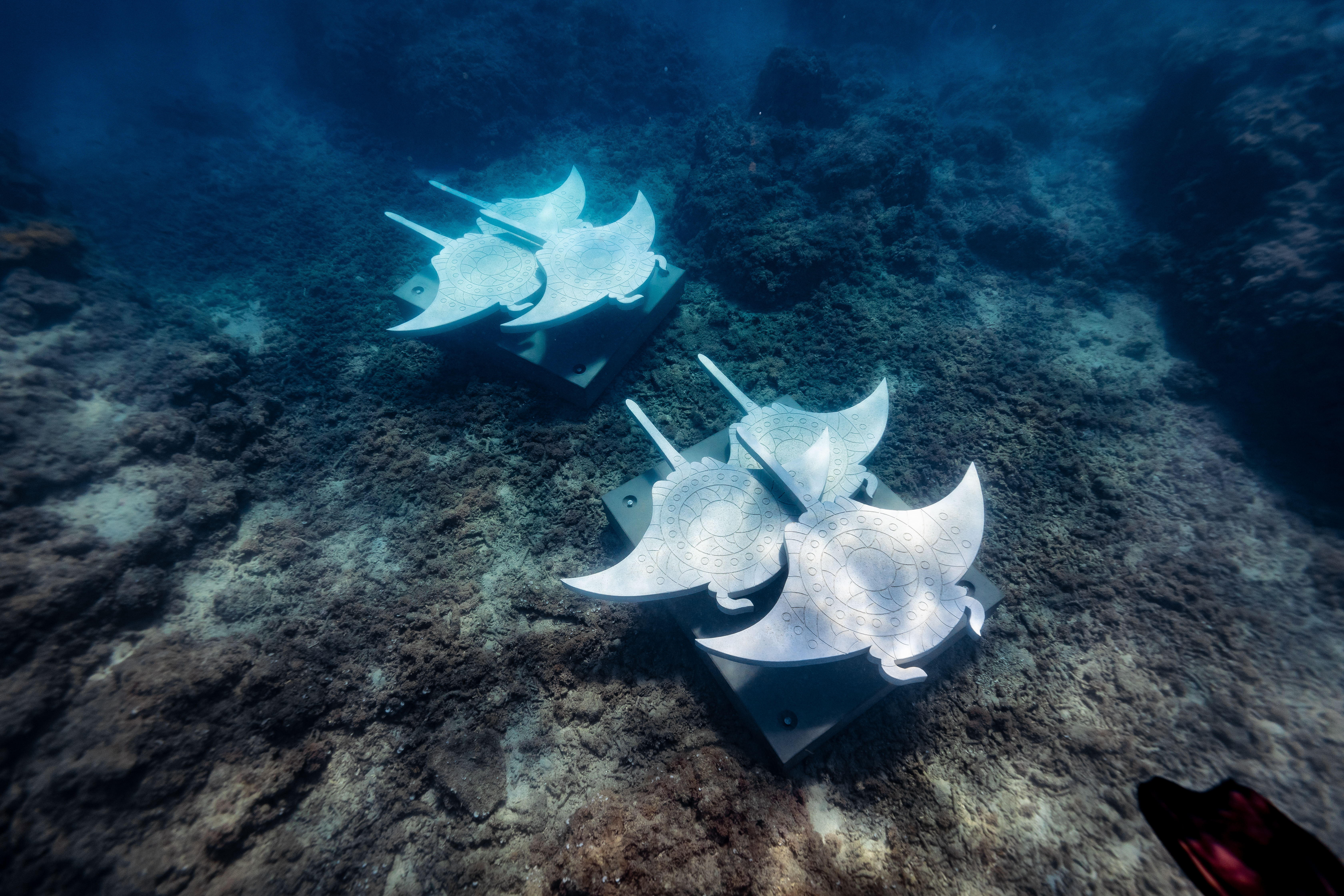 Whitsundays Underwater Art Migration of the Mantas