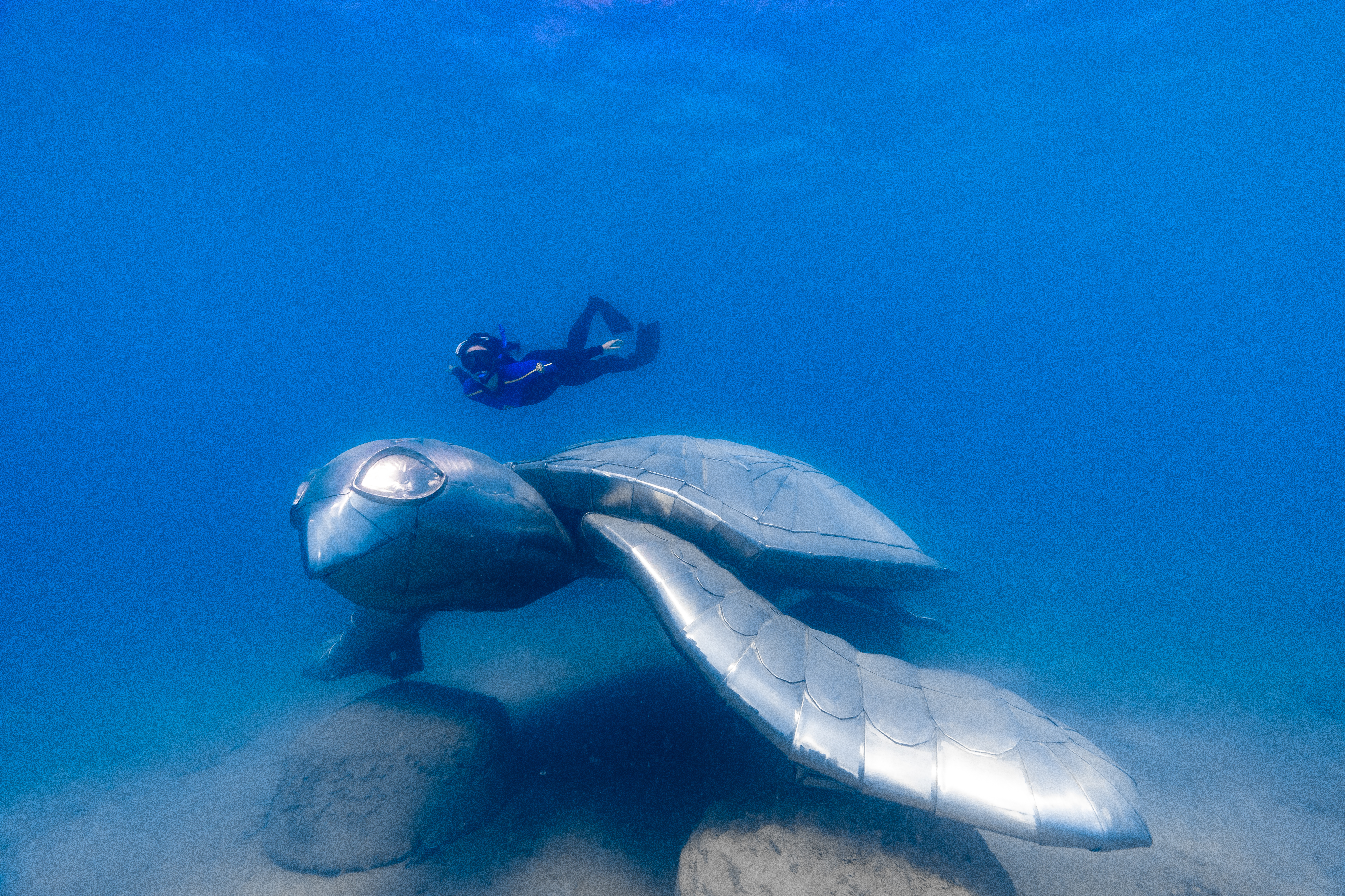 Whitsundays Underwater Art, Turtle Dreaming