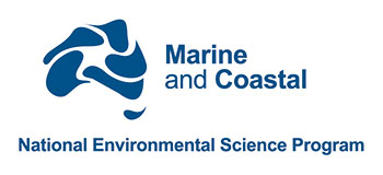 NESP MaC logo