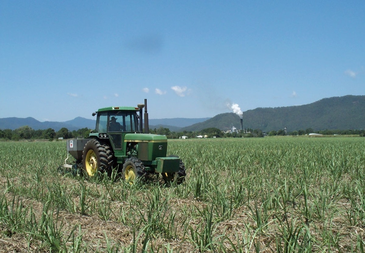 Fertilising sugarcane