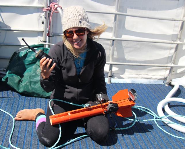 Rebecca Wellard and acoustic logger 