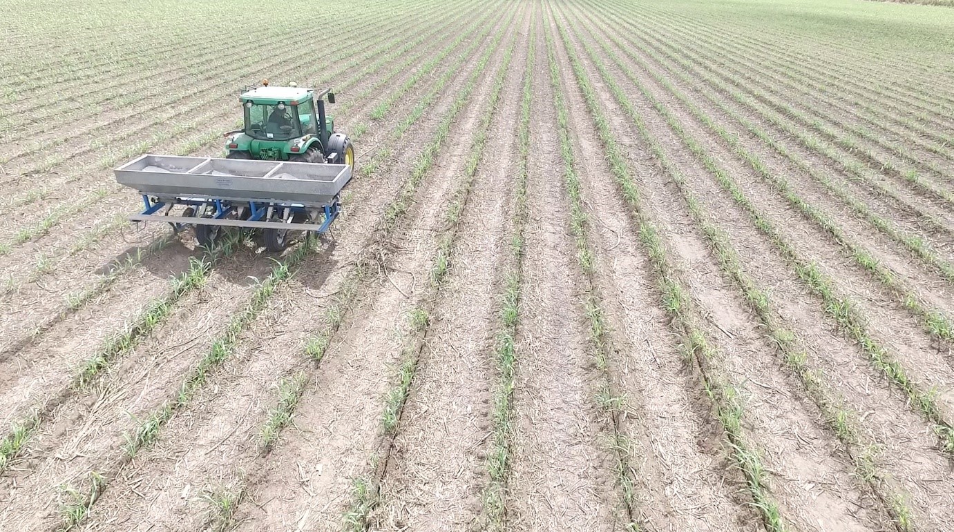 Stool split fertilizer applicators applying N fertilizer in a ratoon cane block in the Burdekin