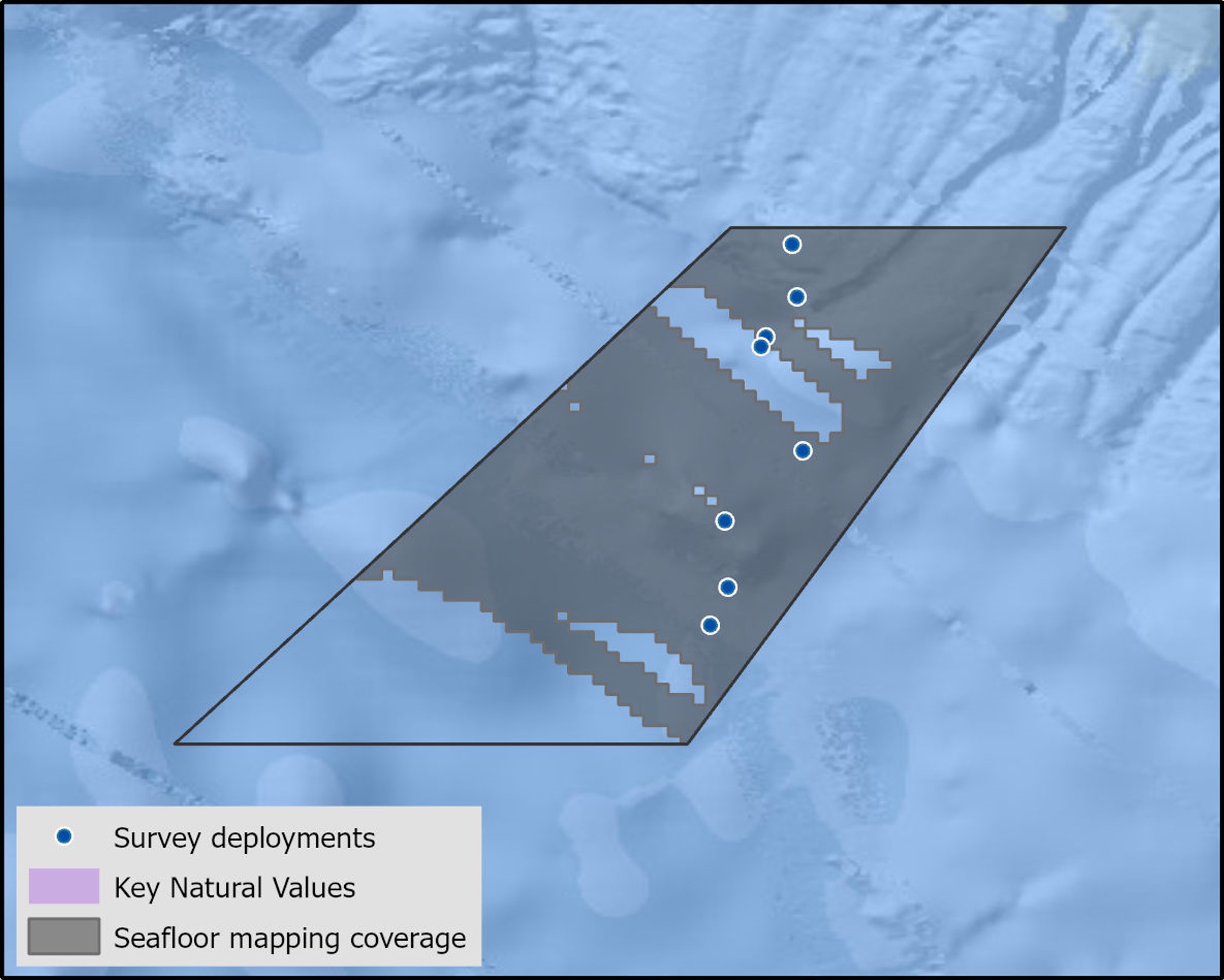 Nelson Survey extent.png.jpg