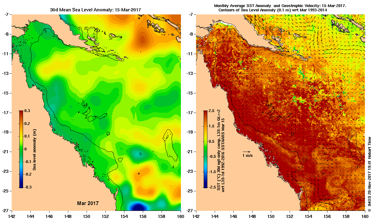 IMOS OceanCurrent image of the monthly sea level and sea surface temperature  anomalies at the peak bleaching period in 2017