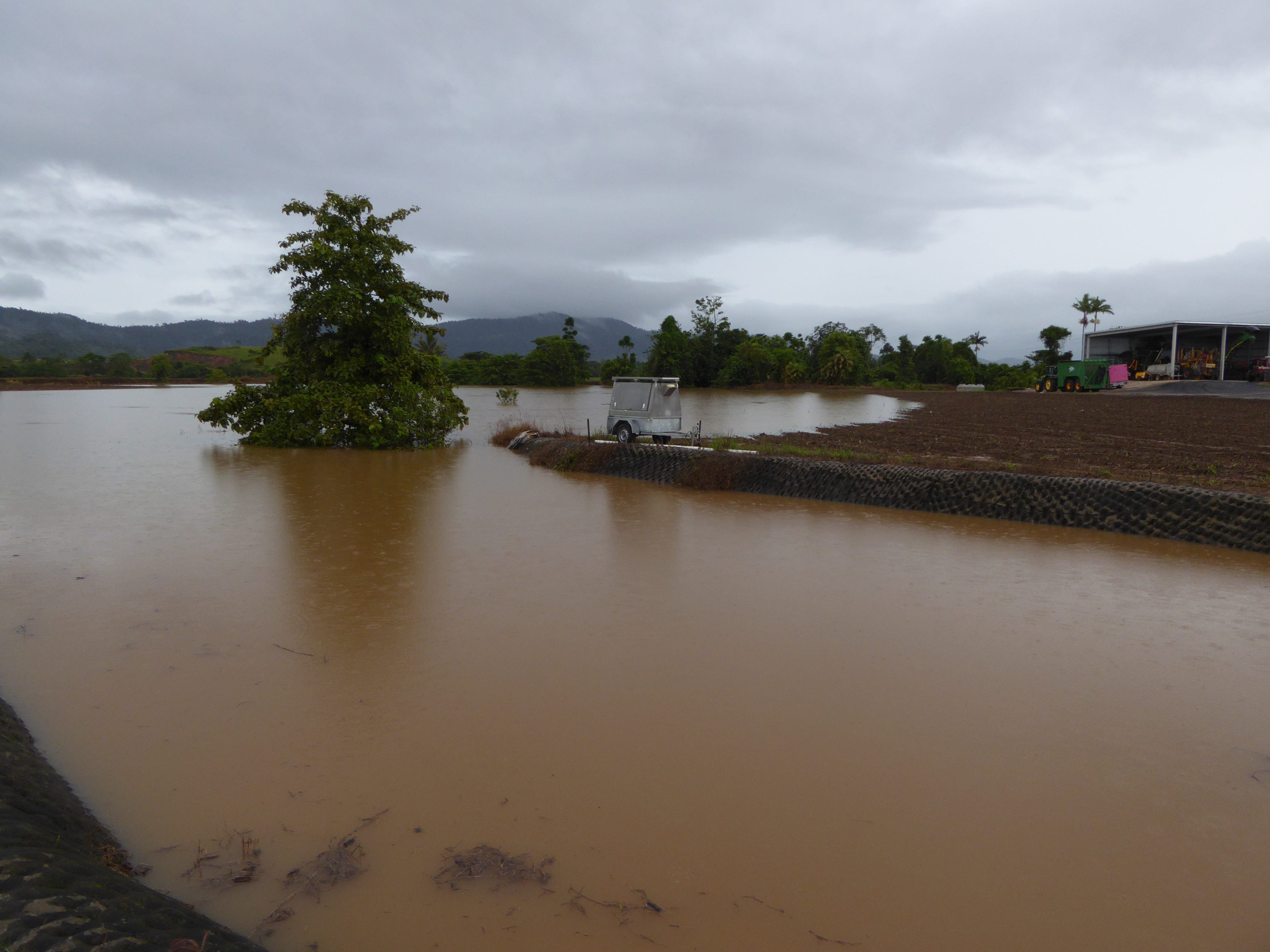 Peak flood height at 'Project 25' Mirriwinni real-time water quality monitoring station.