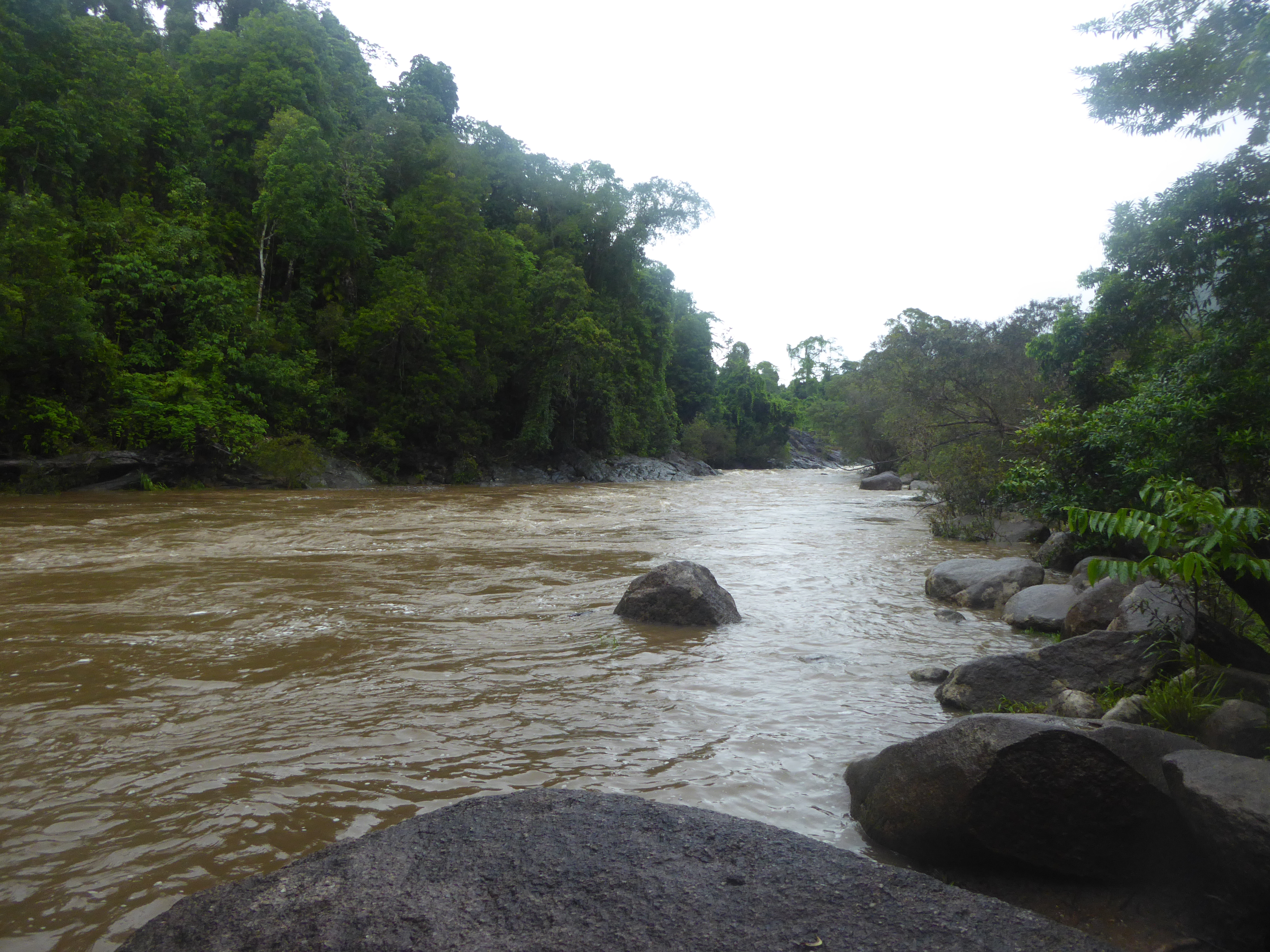 Upstream view of peak flood flows in the Russell River at the Project 25 'Golden Hole' monitoring point.