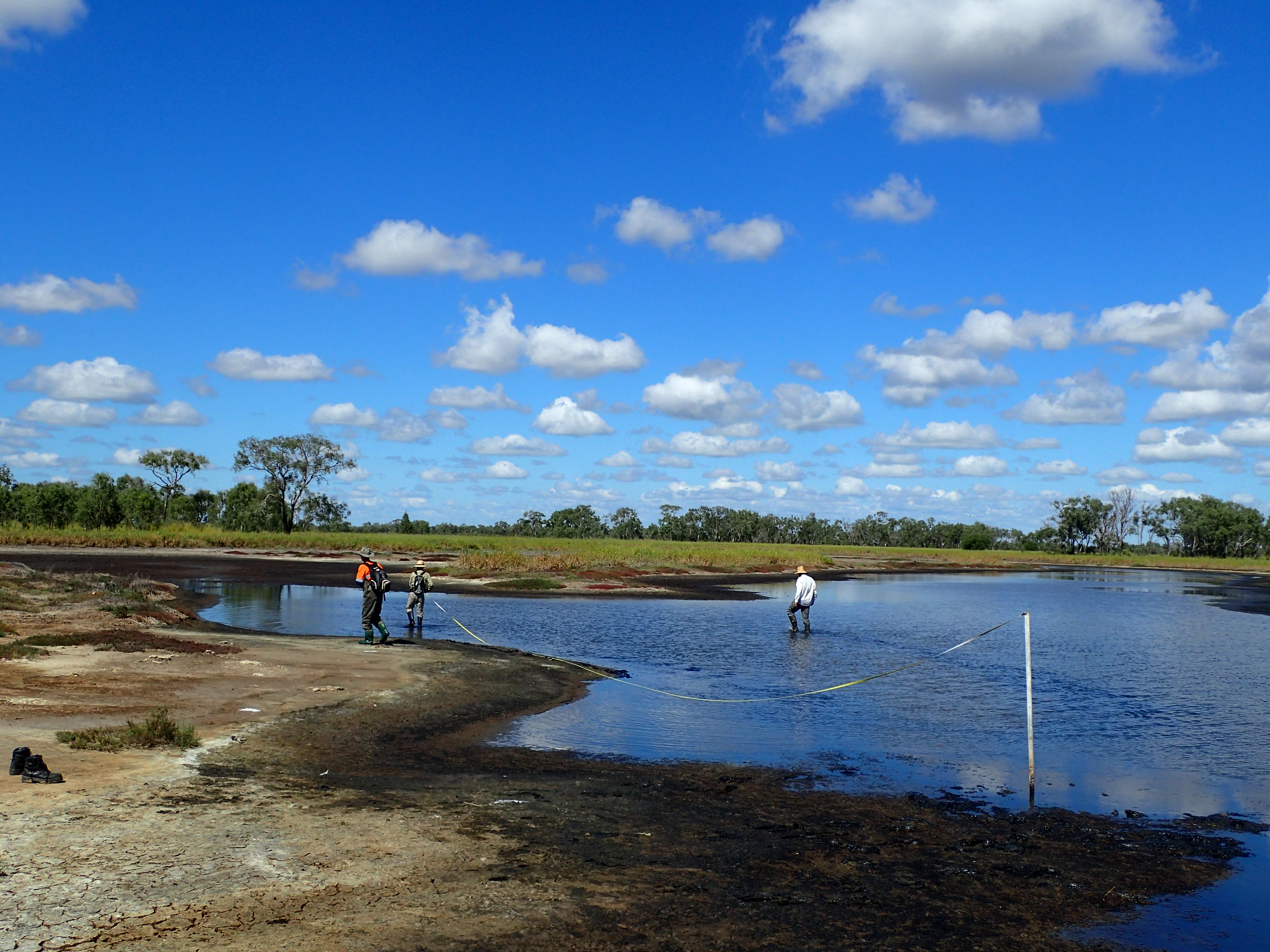 Tidal wetland on Burdekin floodplain