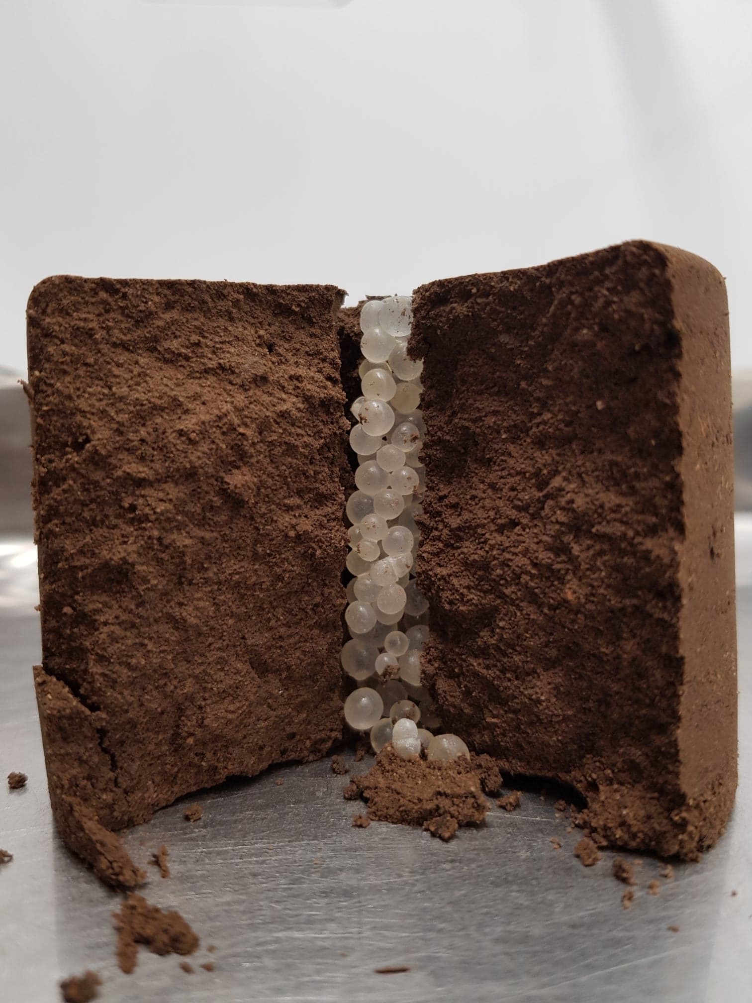 Cross section of a band of polymer coated urea