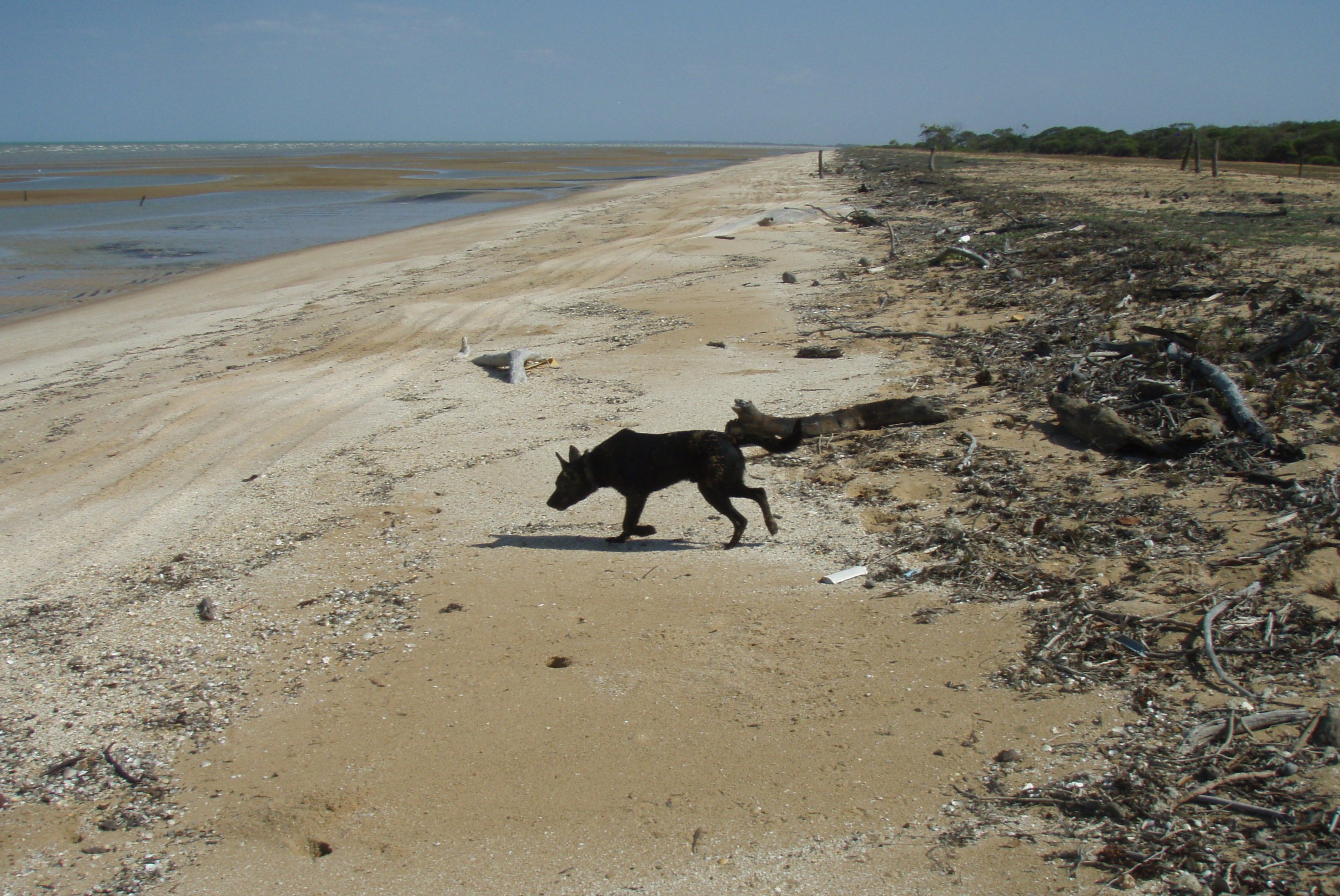 Lama Lama land and sea country in the Princess Charlotte Bay region.