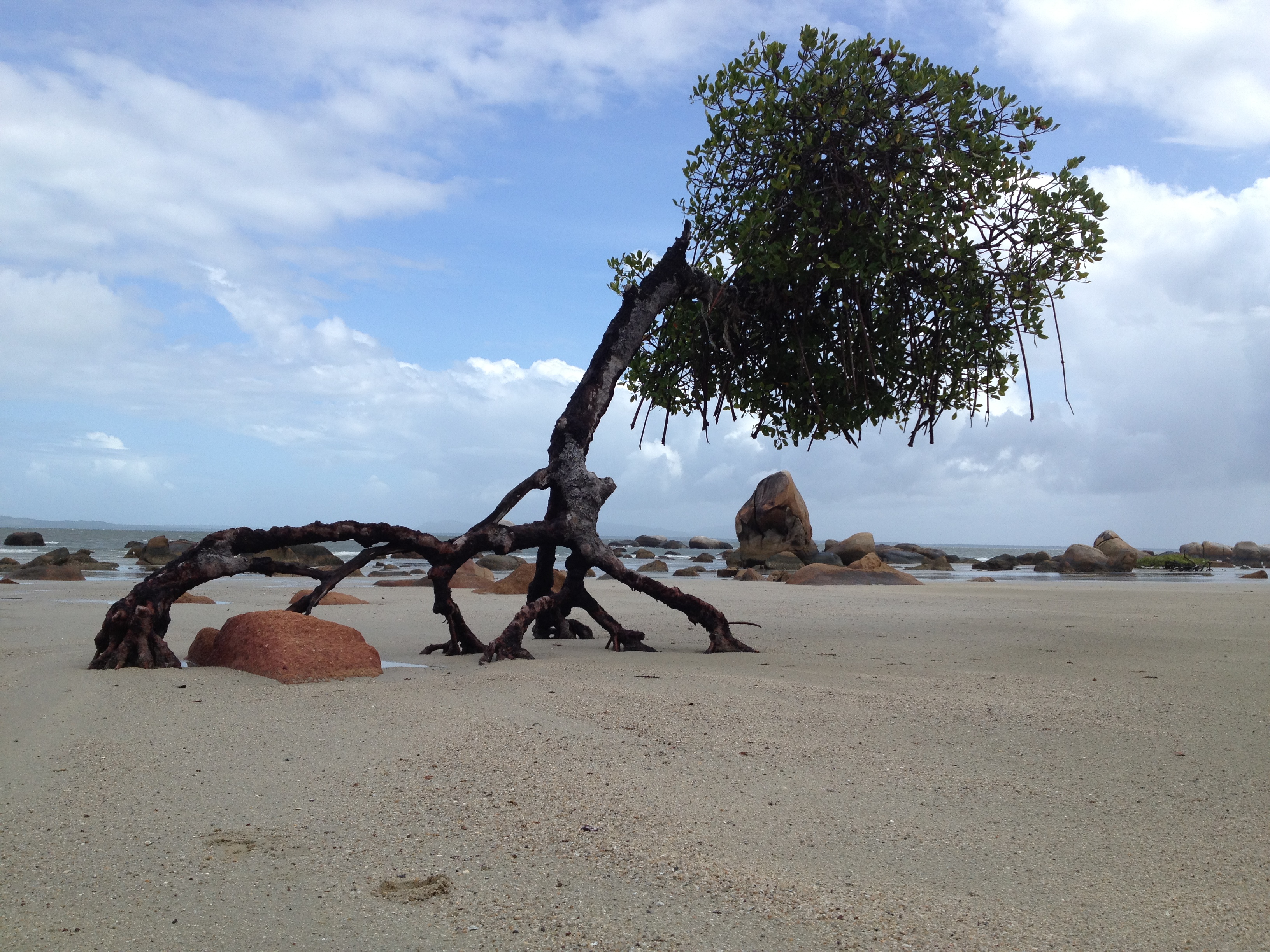 Kanthanumpu land and sea country in the Lockhart River region.