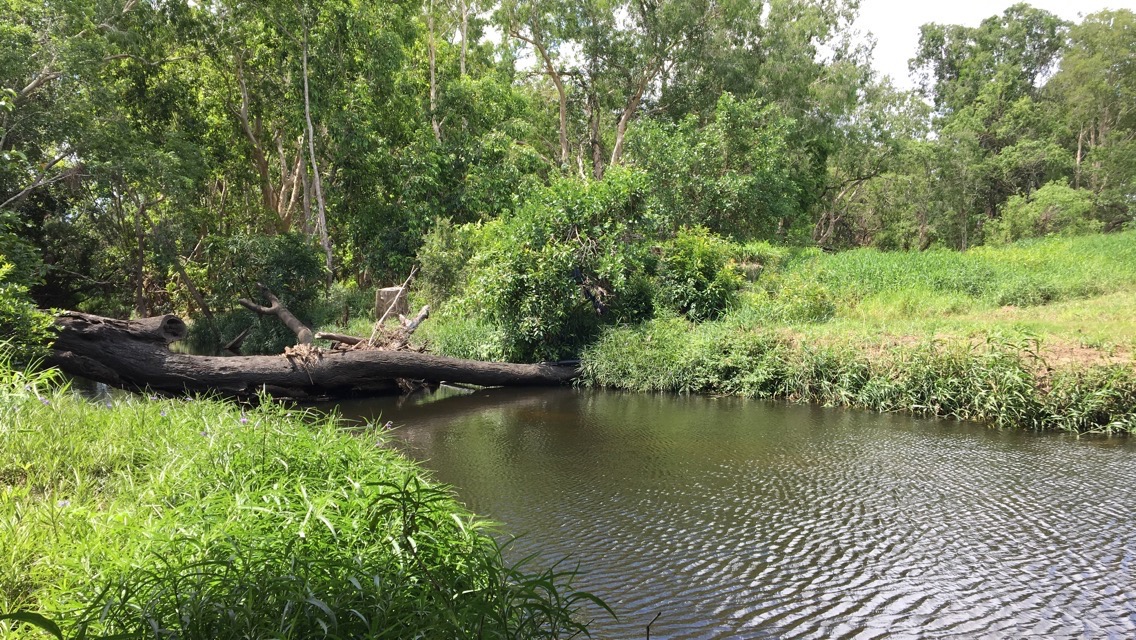 Sandy Creek