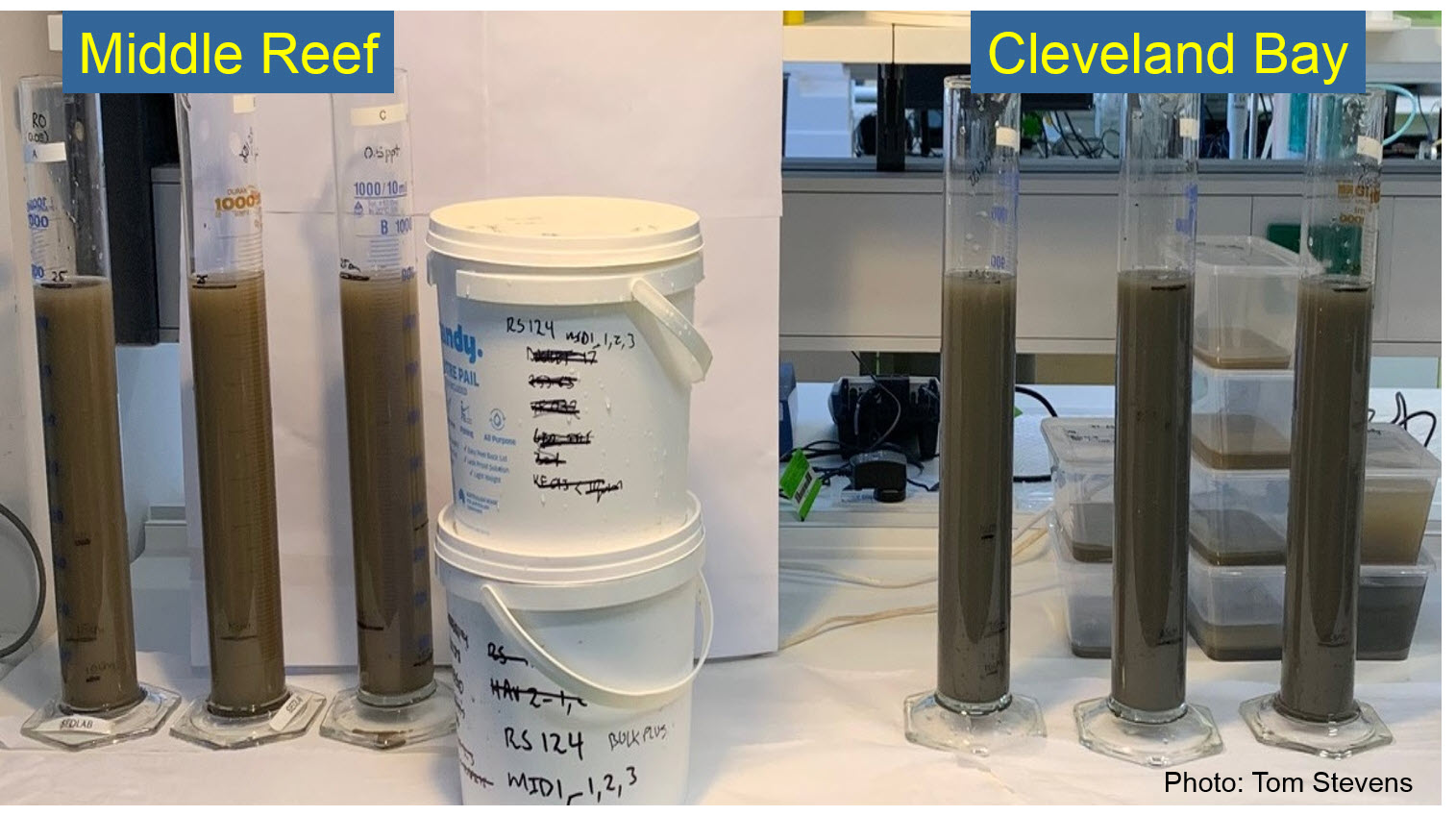 Sediment caught in traps from Middle Reef and Cleveland Bay