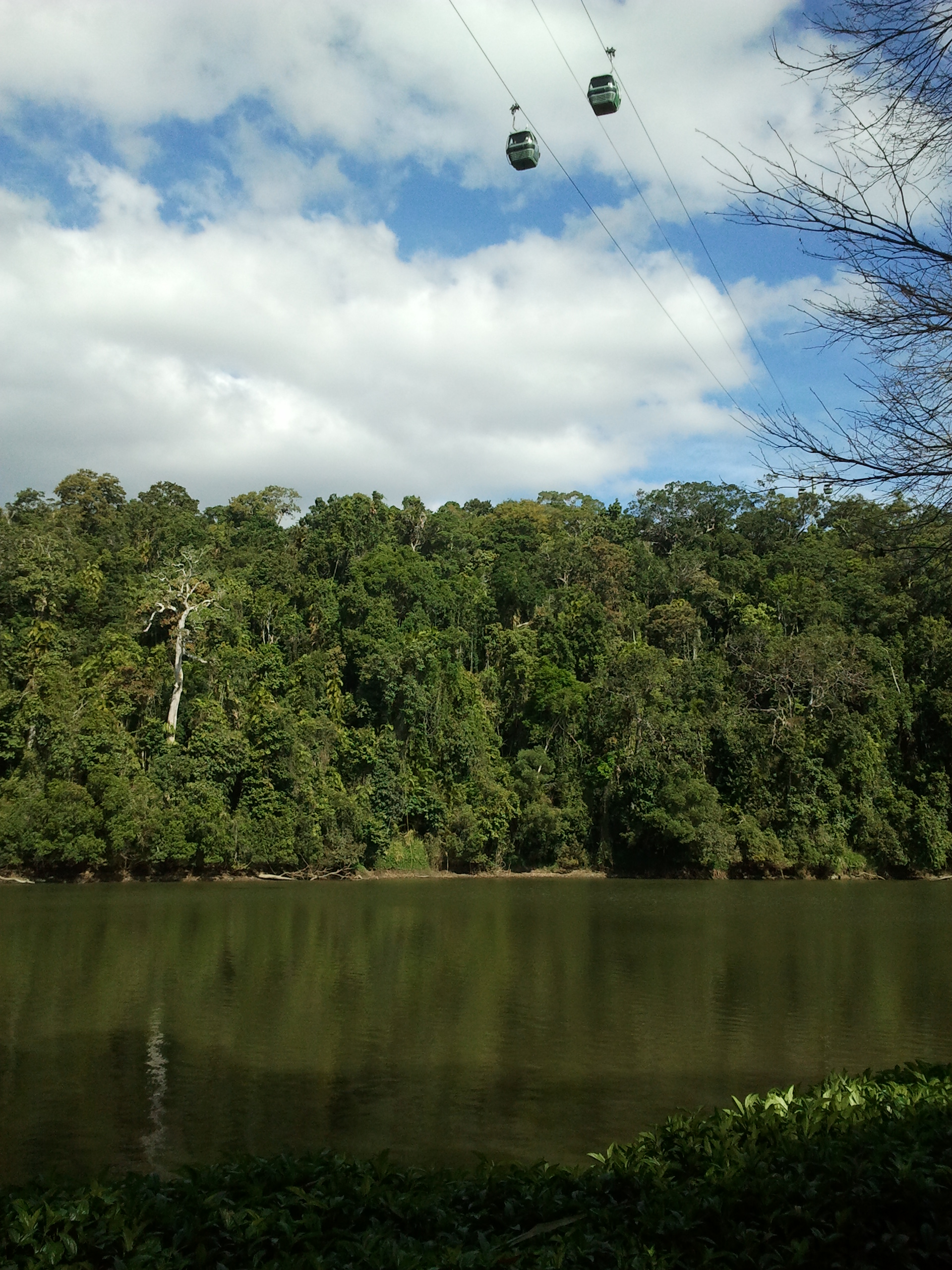 View of the cable cars crossing the Barron River near Kuranda