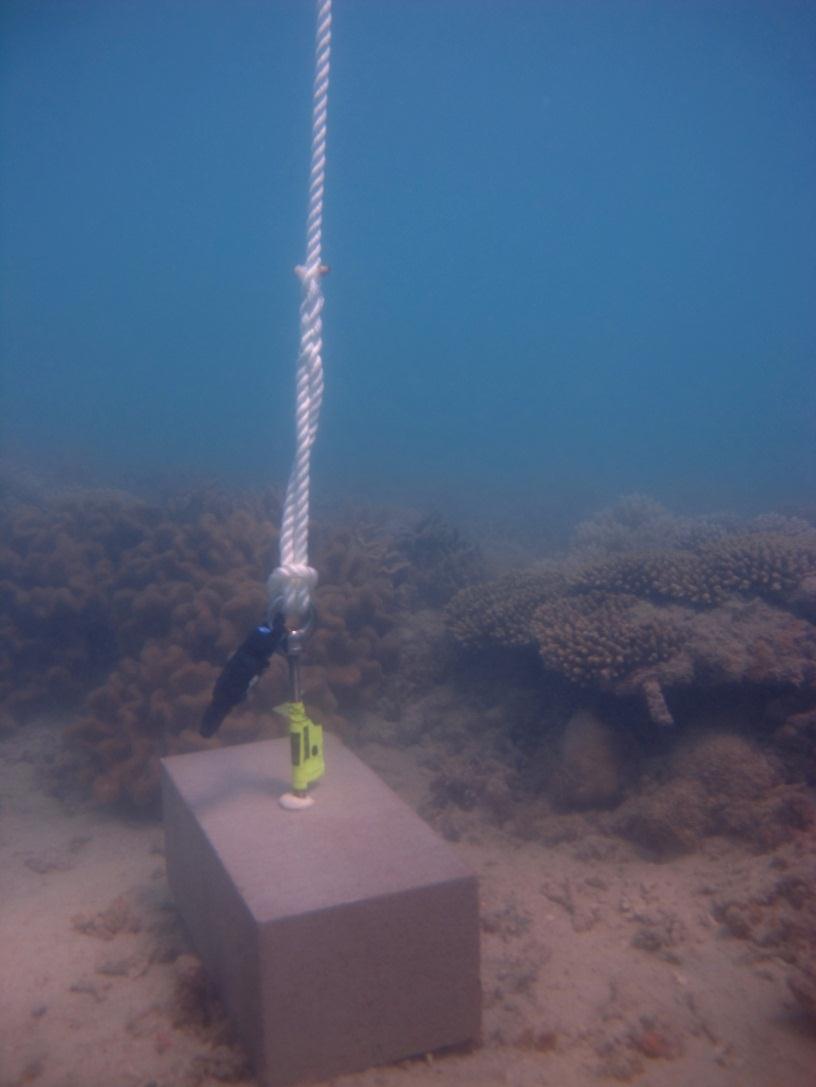 Booby Island - Torres Strait Temperature Logger (Slope Logger: BOOBYSL1)