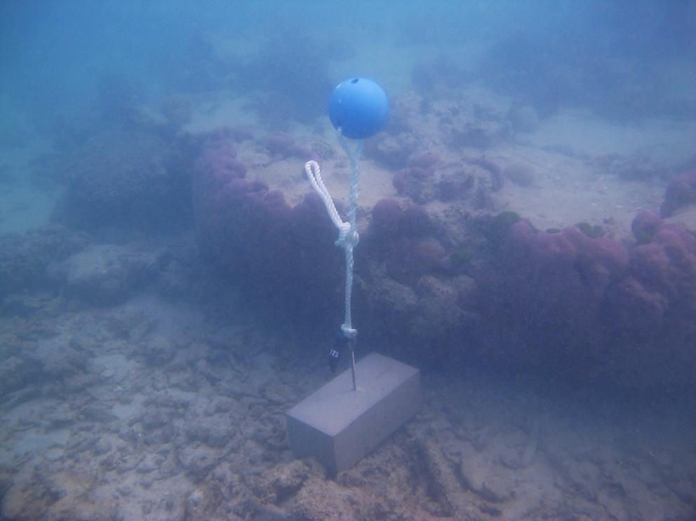 Dugong Island - Torres Strait Temperature Logger (Slope Logger: DUGONGSL1)