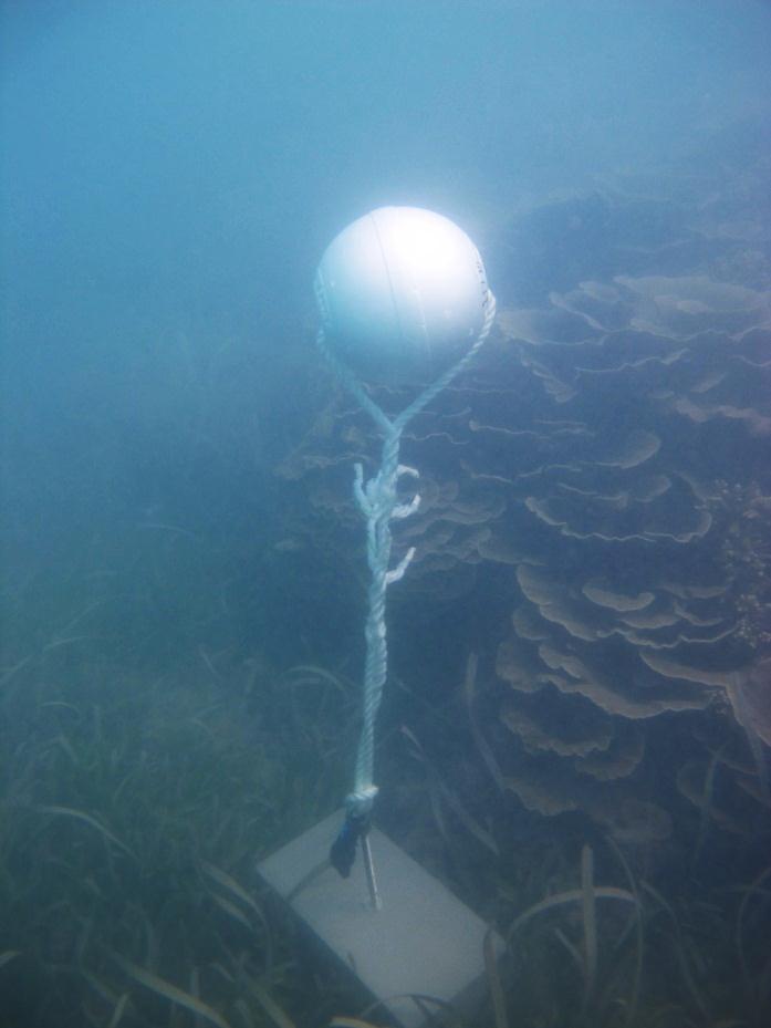 Moa Island - Kubin - Torres Strait Temperature Logger (Slope Logger: KUBINSL1)