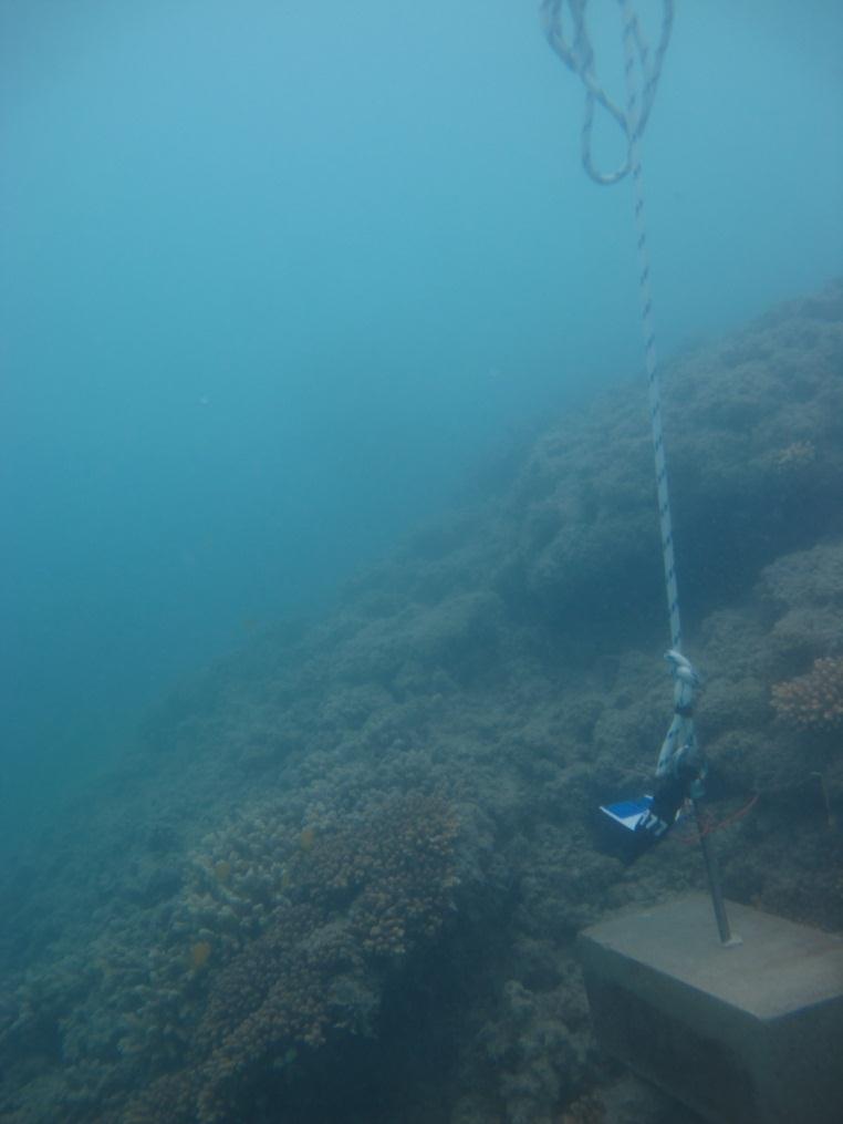 Mabuiag Island - Torres Strait Temperature Logger (Slope Logger: MABUIAGSL1)