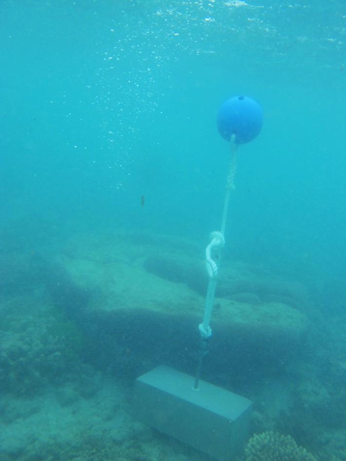Twin Island - Torres Strait Temperature Logger (Slope Logger: TWINSL1)