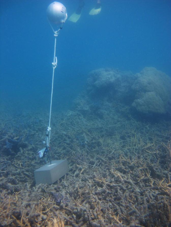 Warraber Island - Torres Strait Temperature Logger (Slope Logger: WARRABERSL1)