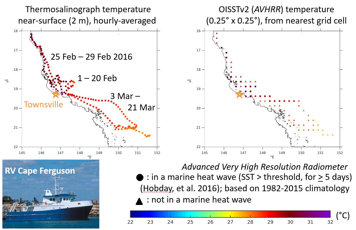 Detecting marine heatwaves