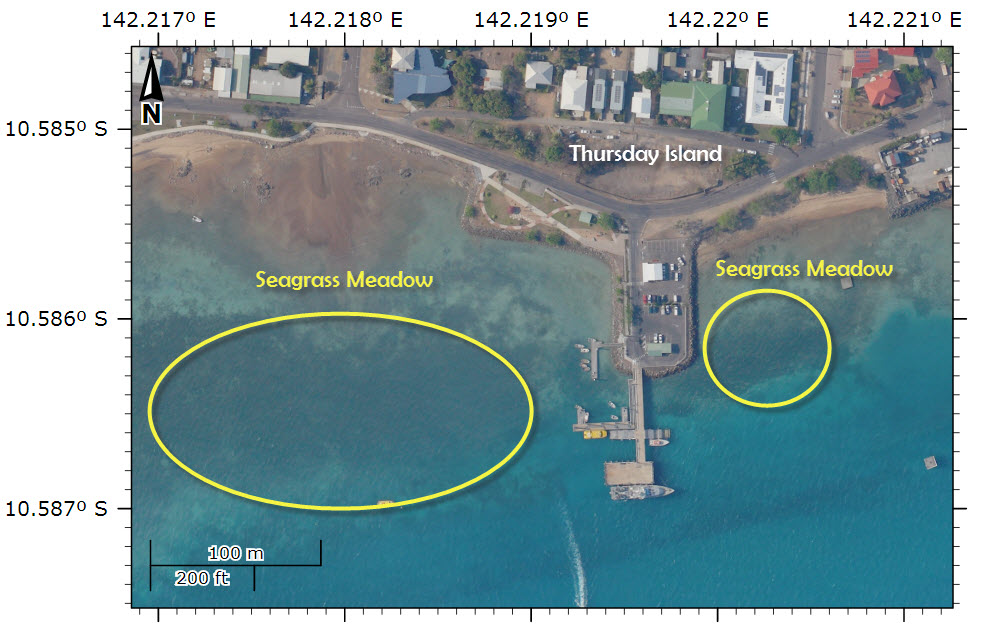 Seagrass meadow visible in aerial Image of Thursday Islannd 2011