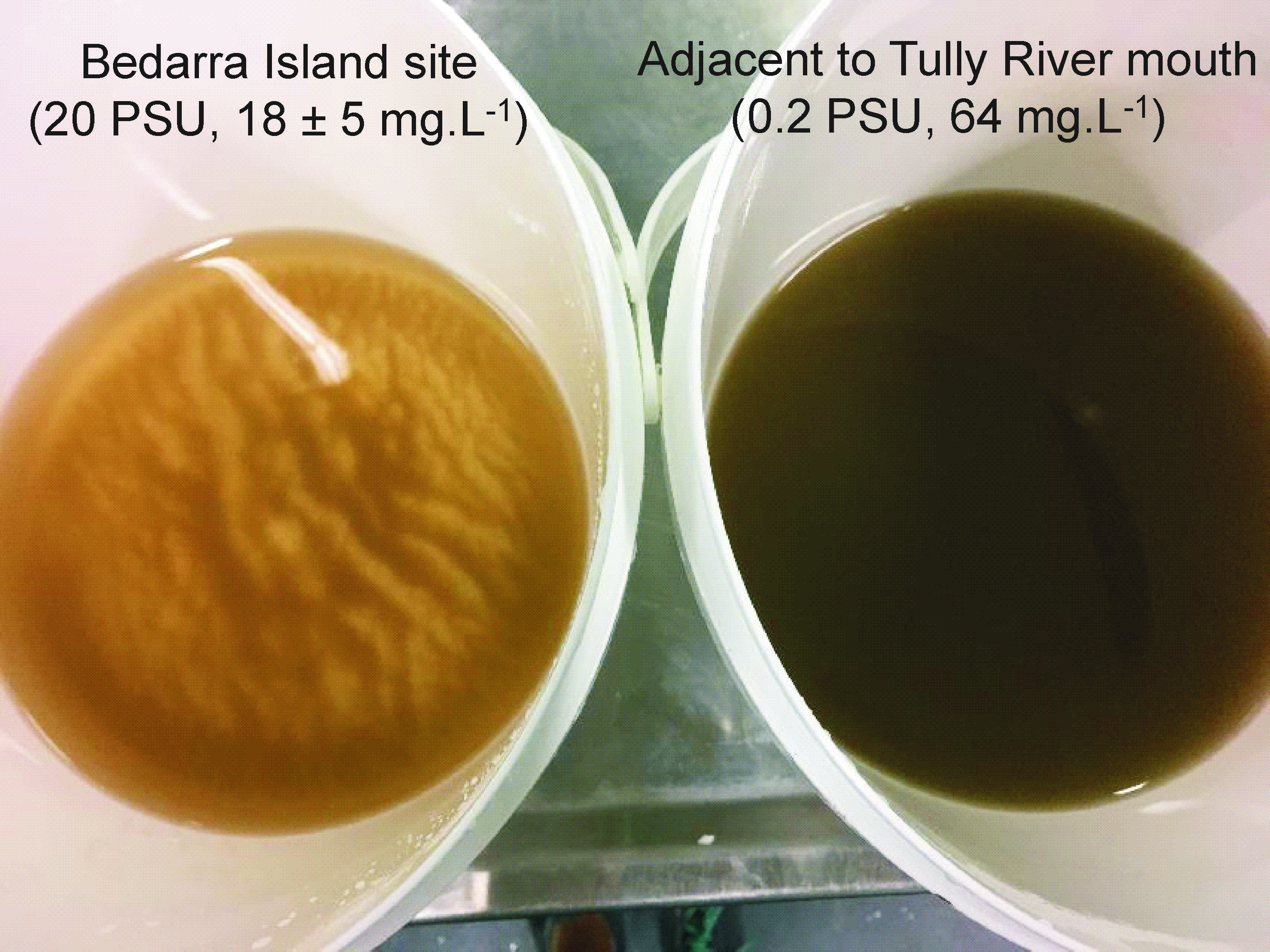 Comparison of sediment from the Tully plume along the plume gradient